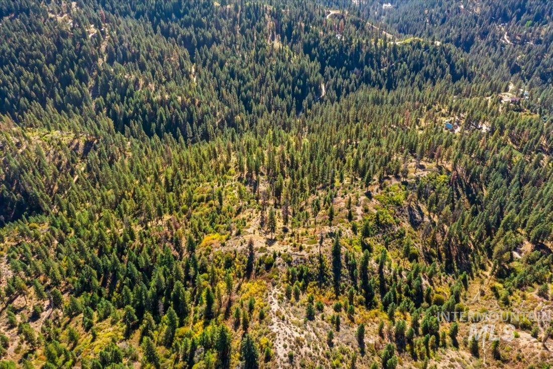 Tbd Kellly Gulch Rd Property Photo 13