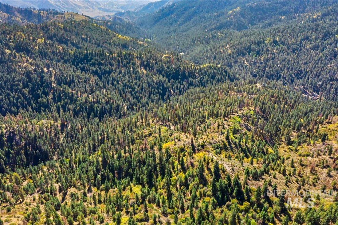 Tbd Kellly Gulch Rd Property Photo 14
