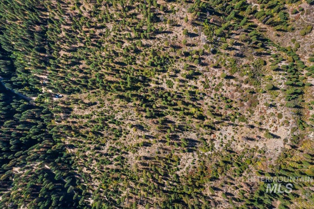 Tbd Kelly Gulch Rd Property Photo 10