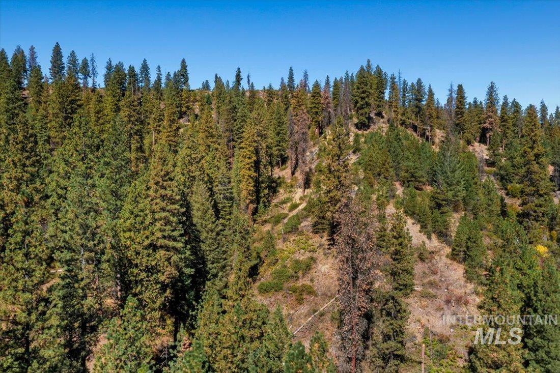 Tbd Kelly Gulch Rd Property Photo 18