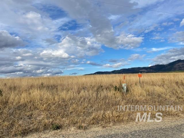 Nka Fox Road 150 Acres Property Photo 2