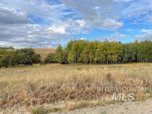 Nka Fox Road 150 Acres Property Photo 3