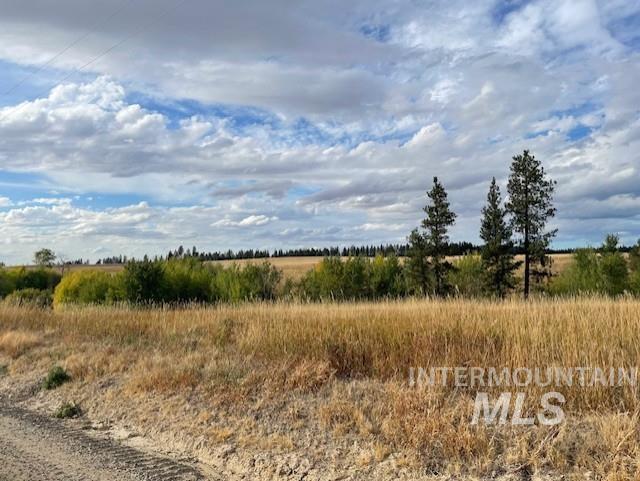 Nka Fox Road 150 Acres Property Photo 4
