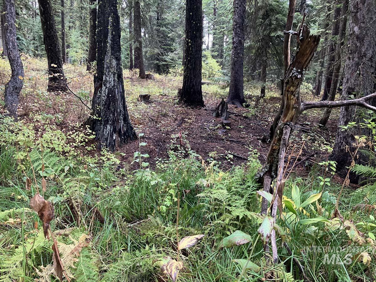 1790 Lark Trail Property Photo 2