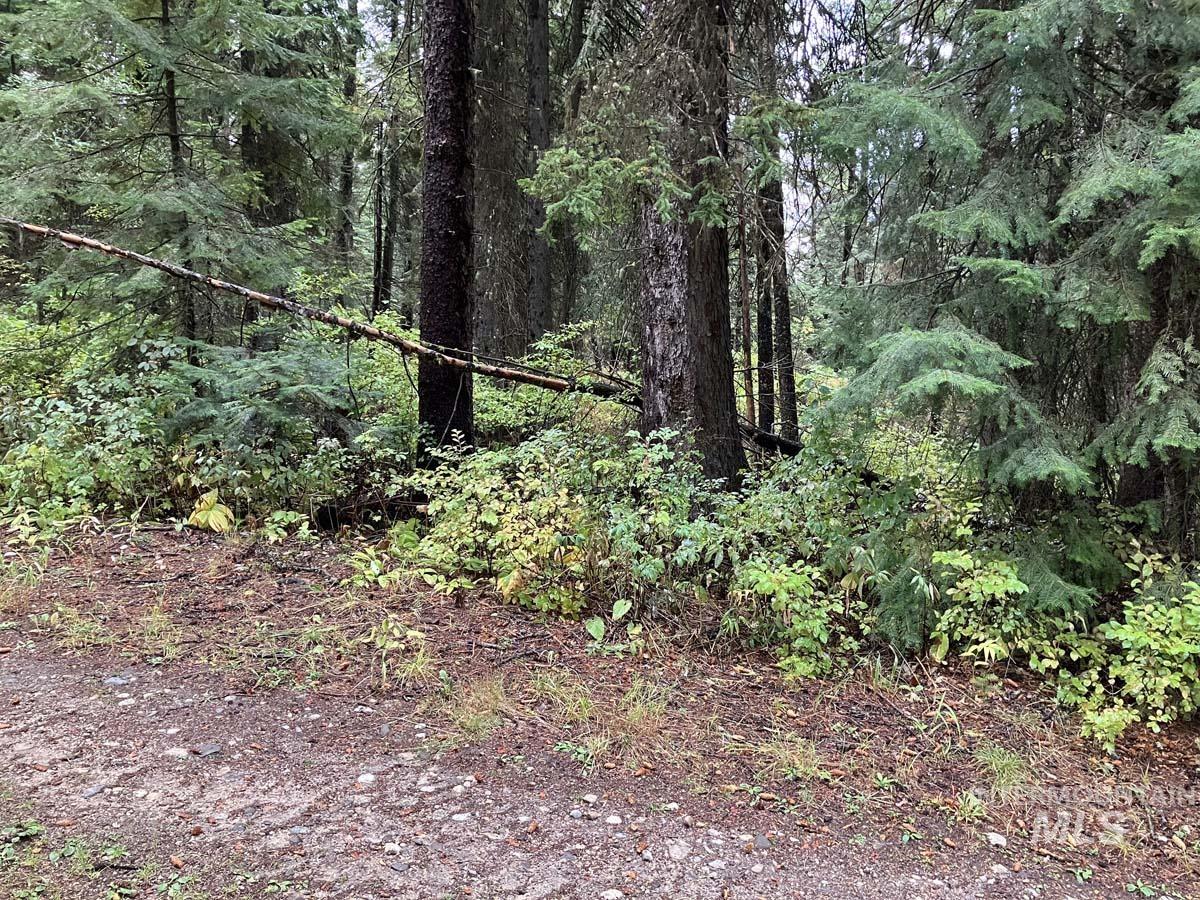 1790 Lark Trail Property Photo 3