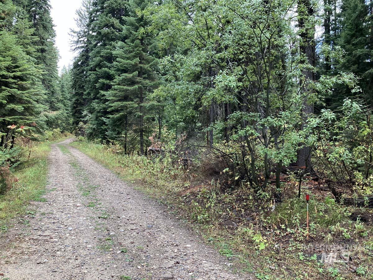 1790 Lark Trail Property Photo 4