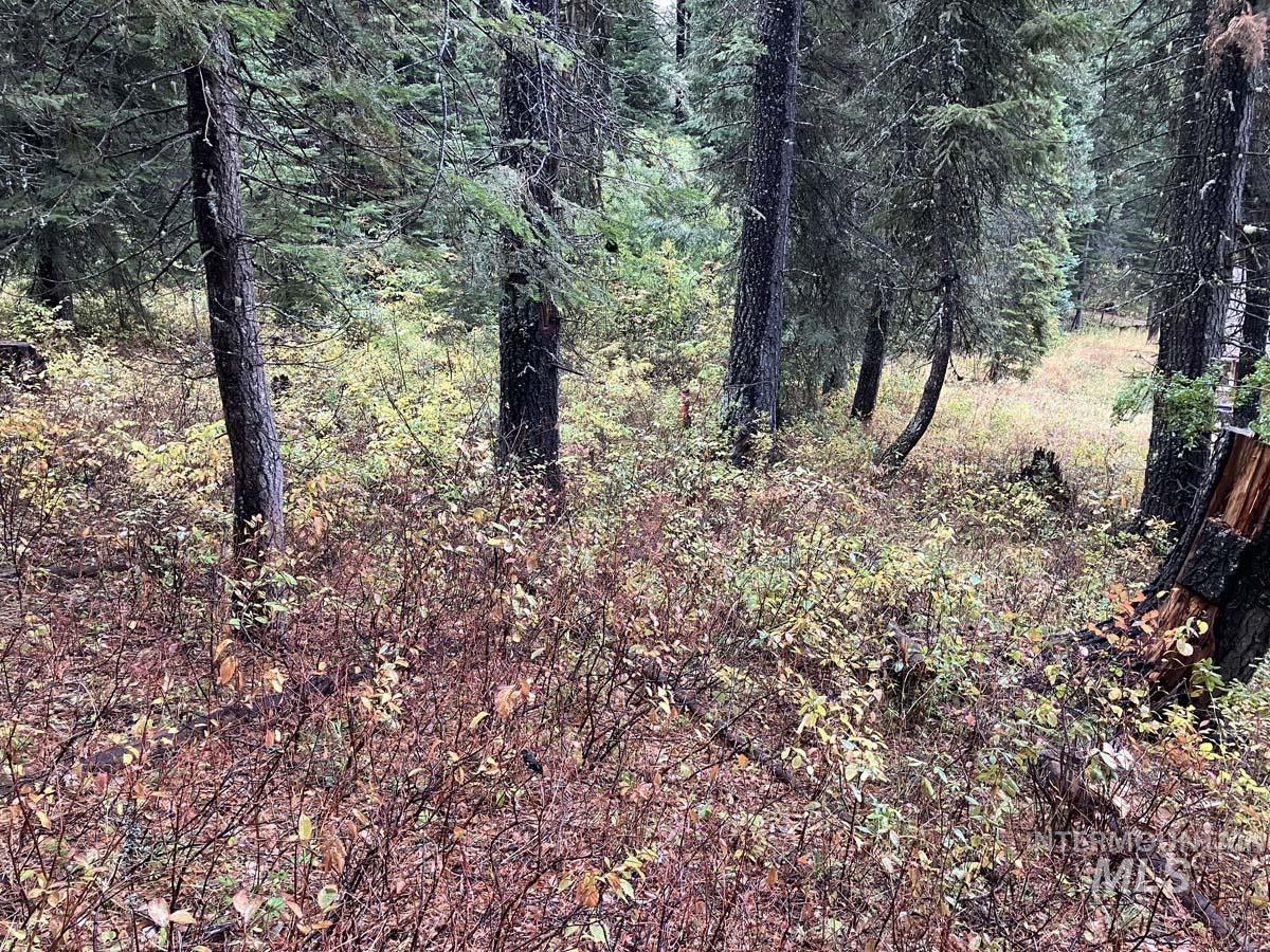 1790 Lark Trail Property Photo 5