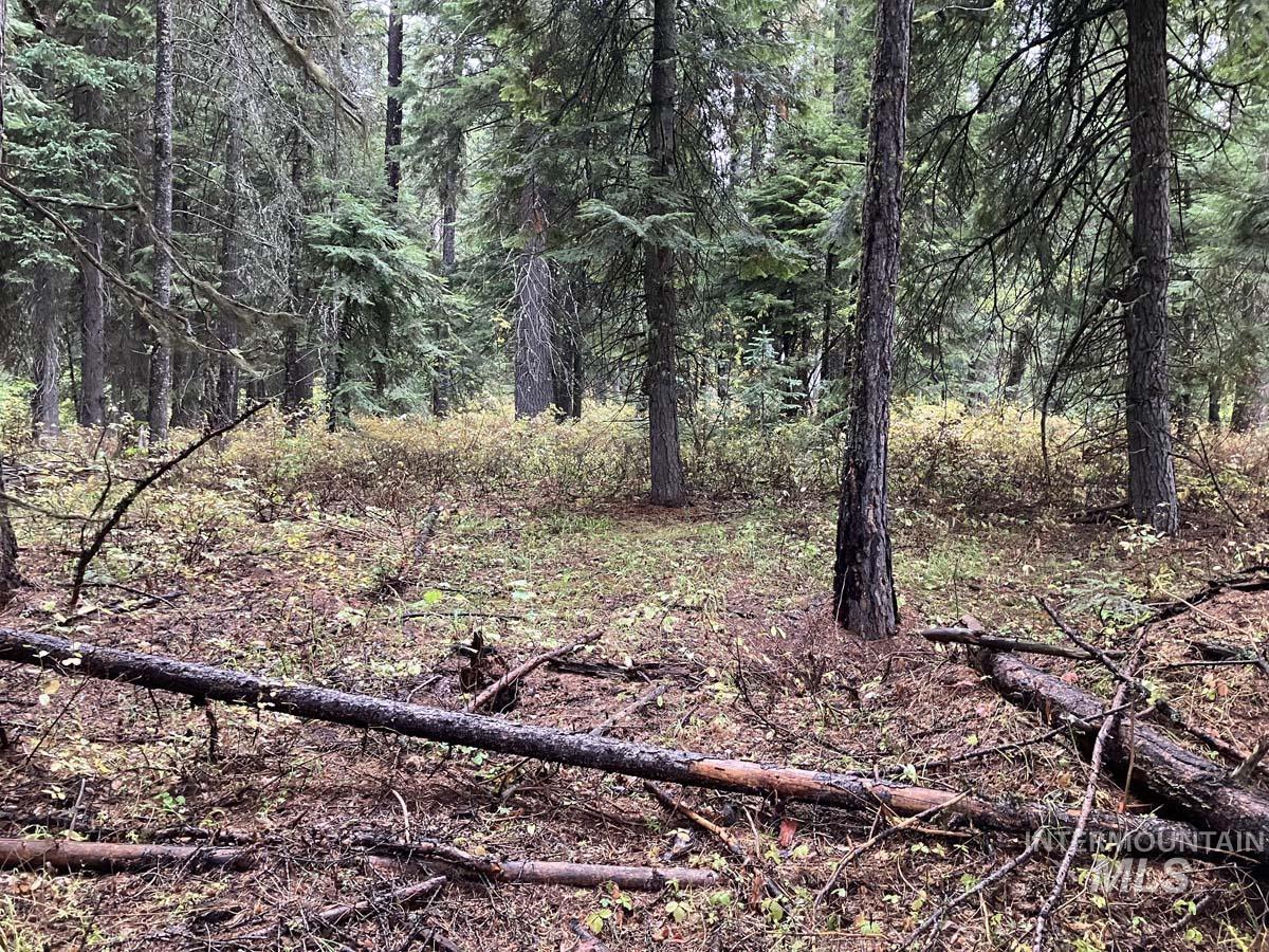 1790 Lark Trail Property Photo 6