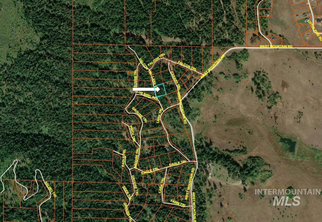 1790 Lark Trail Property Photo 9