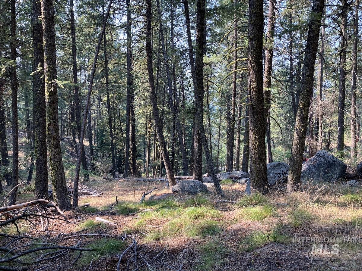 7 Frazier Place Property Photo 1