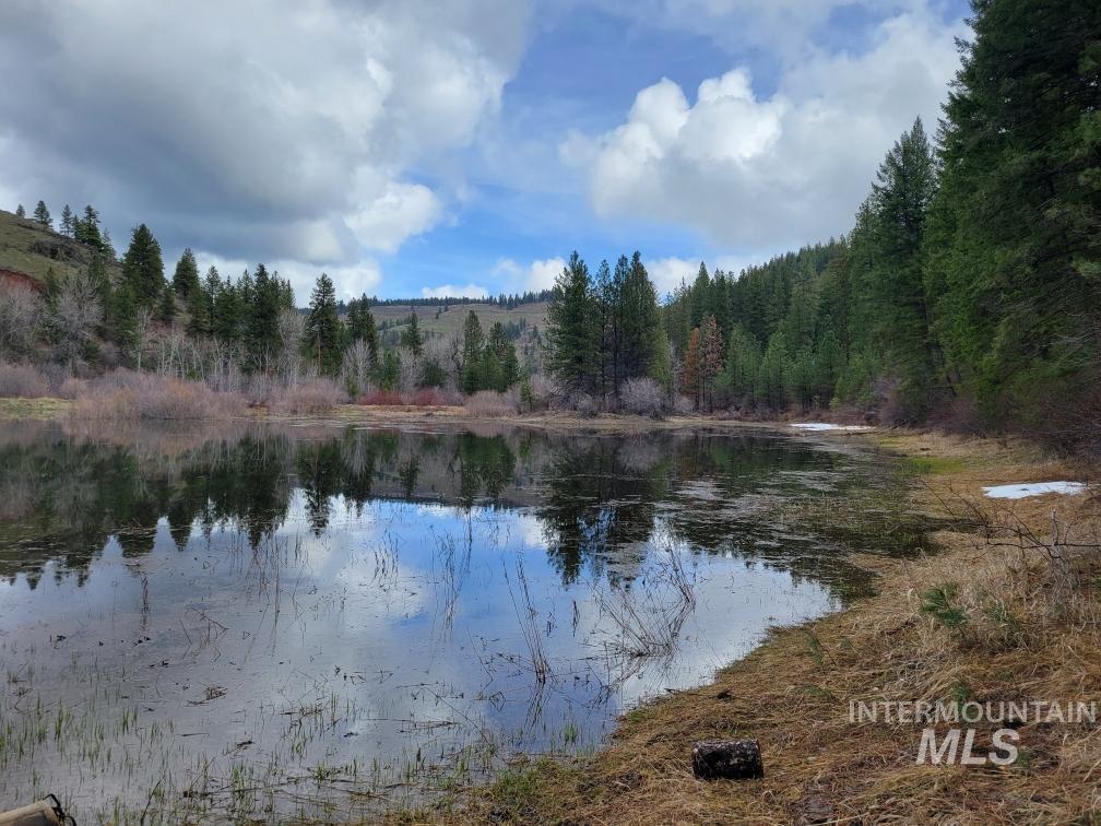 Tbd Peaceful Pines Rd Lot 13 Property Photo 11