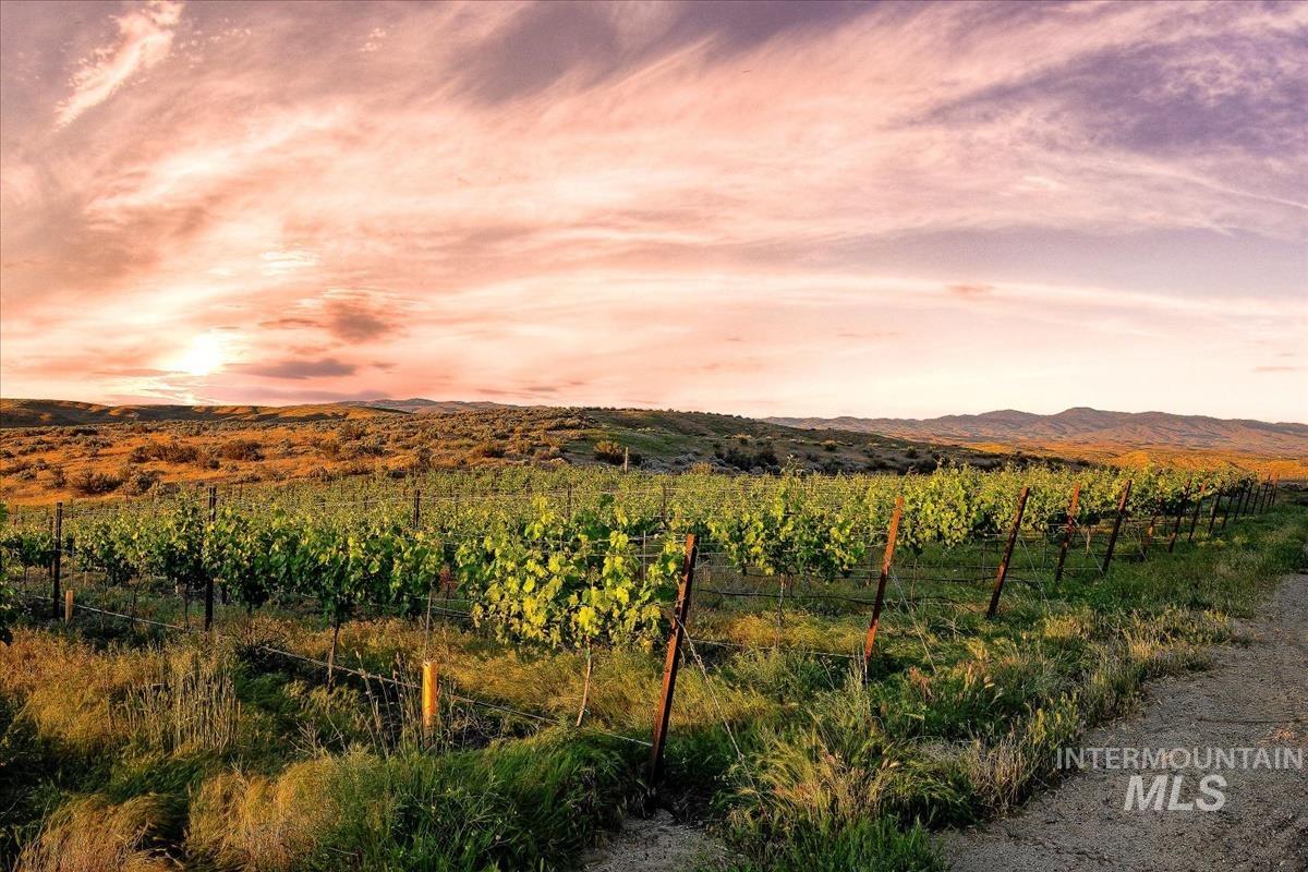 5446 N Highway 16 Property Photo 43