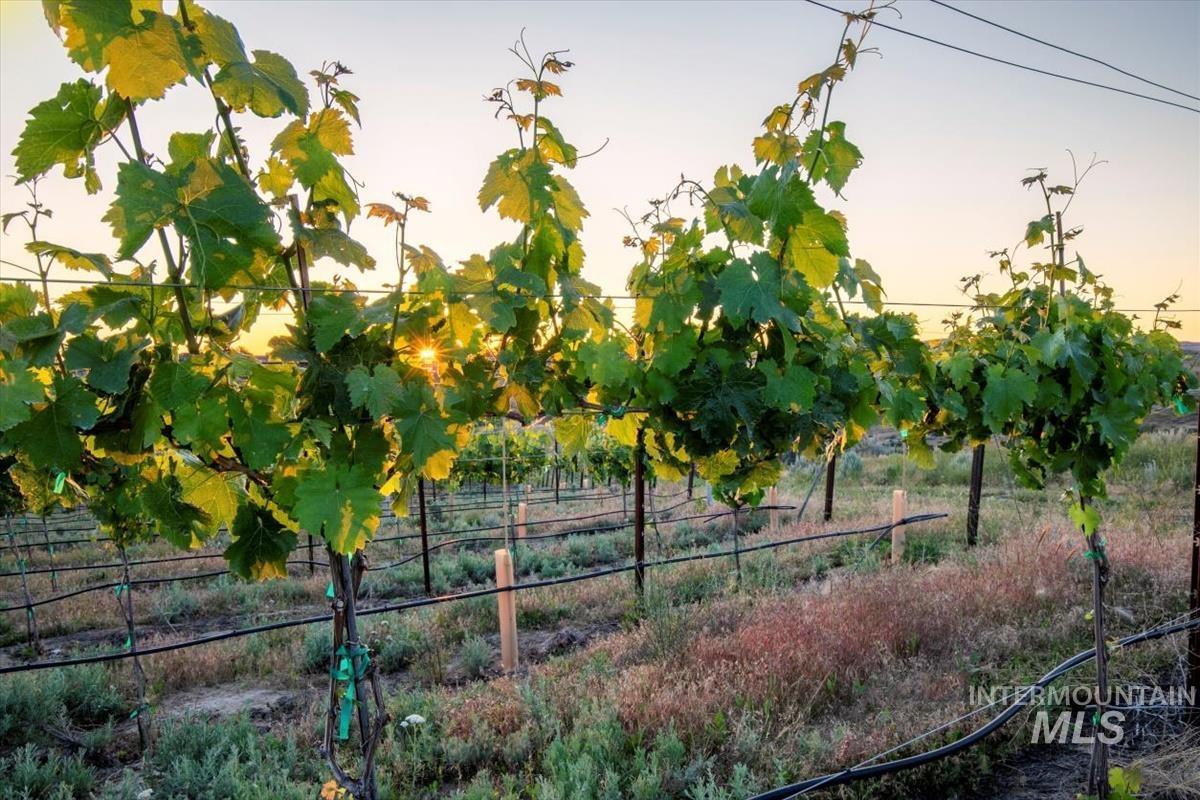 5446 N Highway 16 Property Photo 46