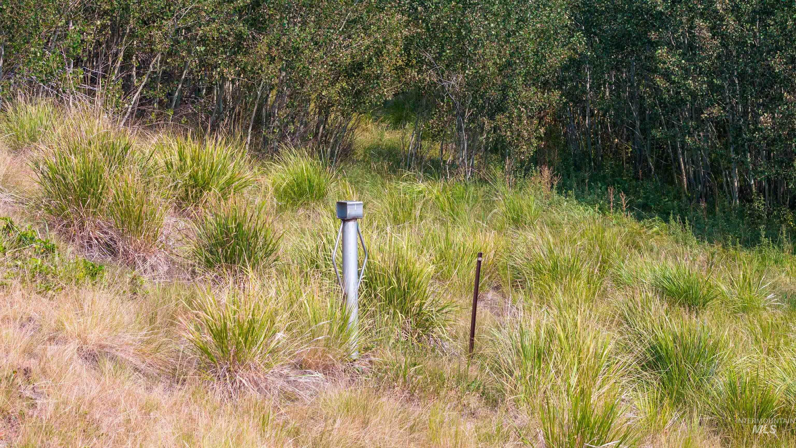 Tbd Homestead Rd Property Photo 14