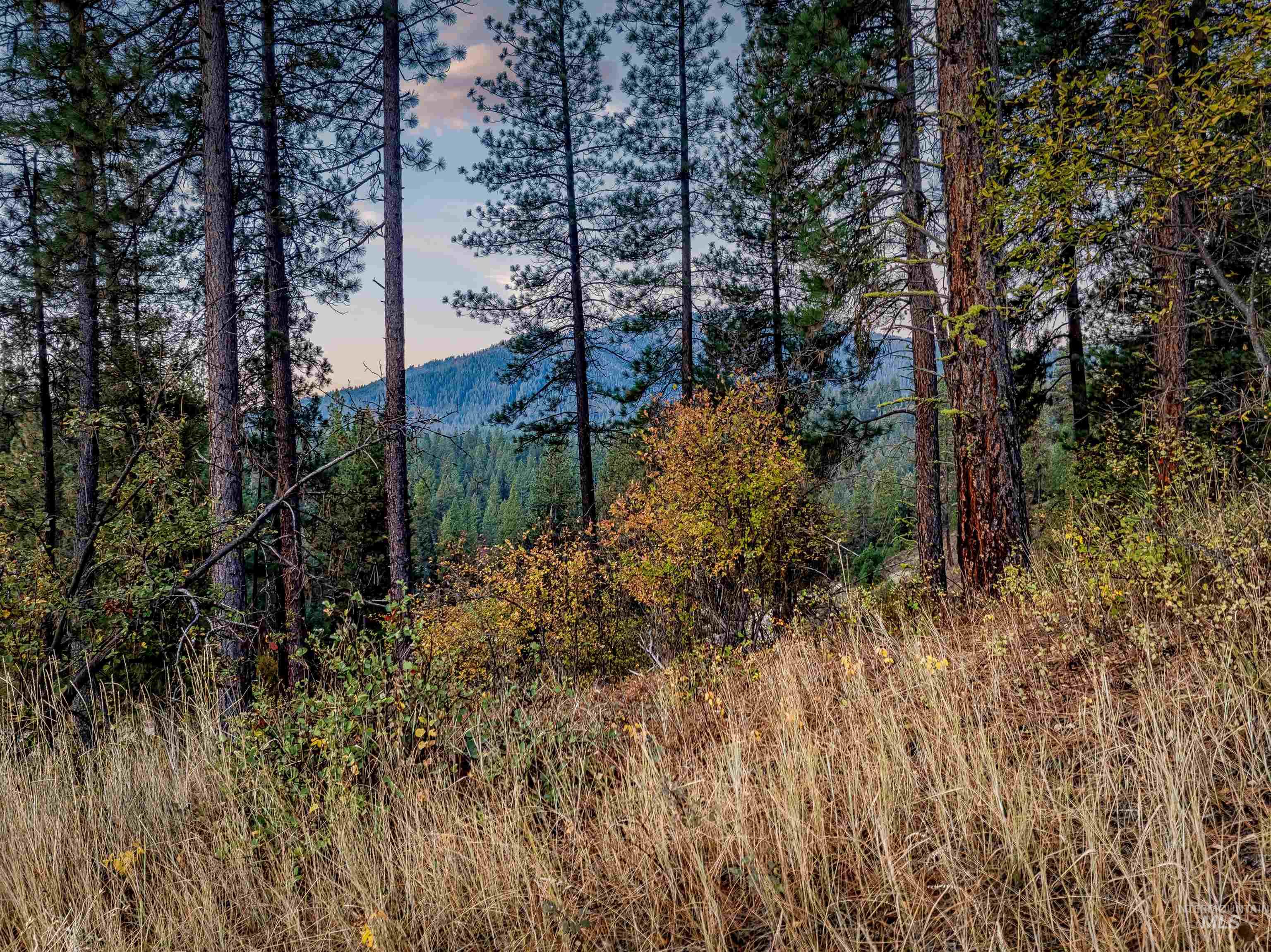 15 Killdeer Court Property Photo 21