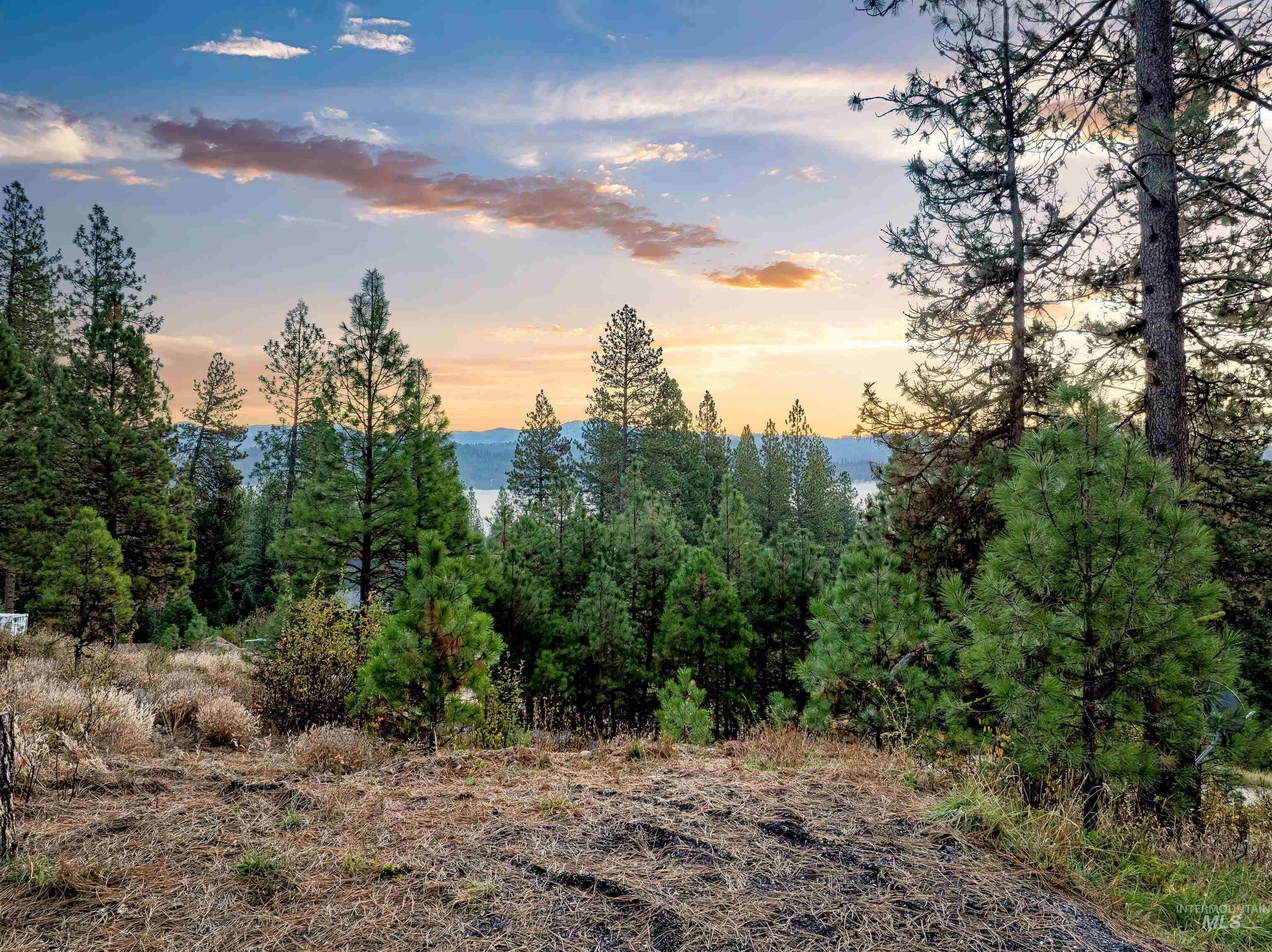 15 Killdeer Court Property Photo 34