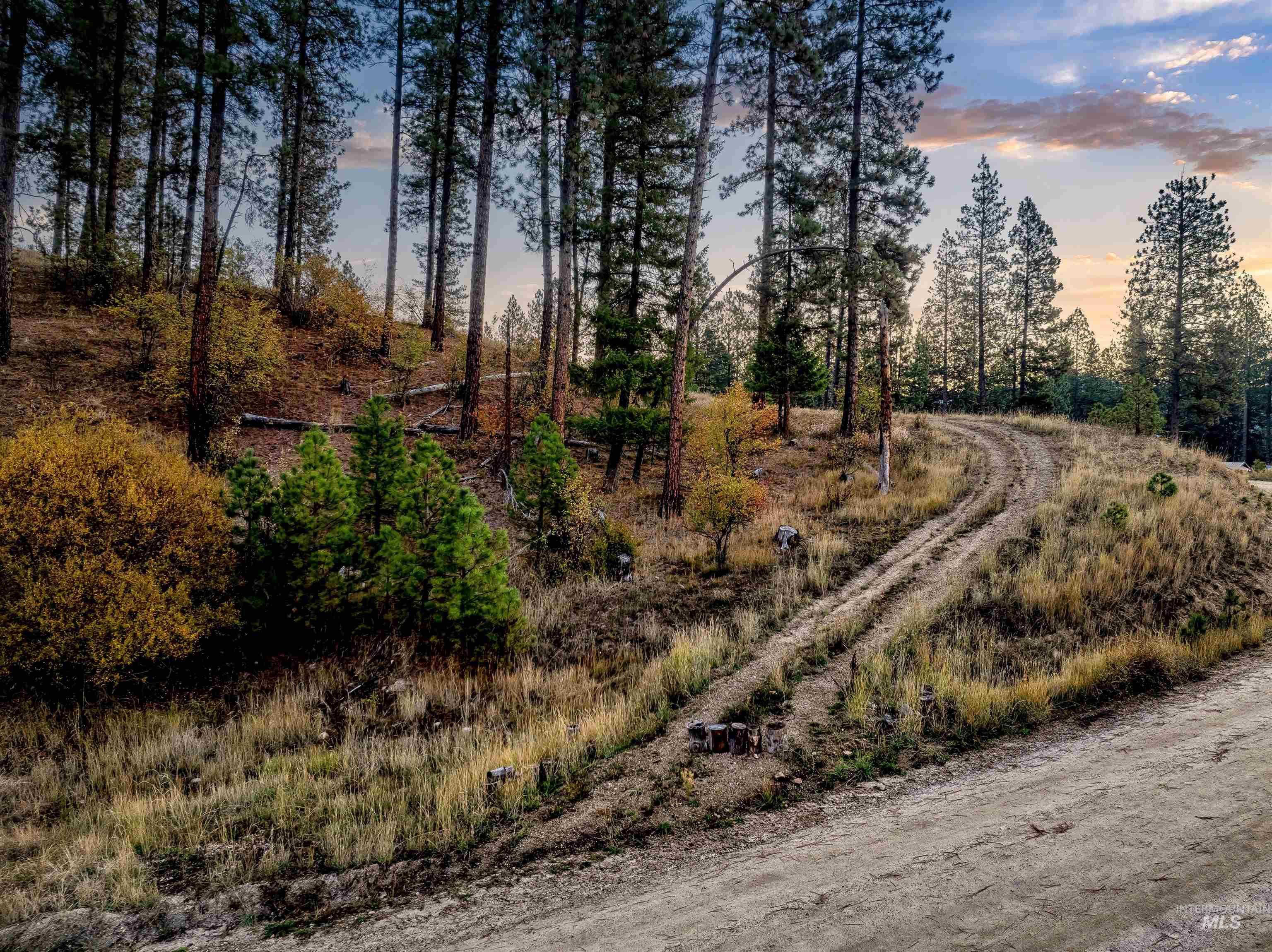 15 Killdeer Court Property Photo 36