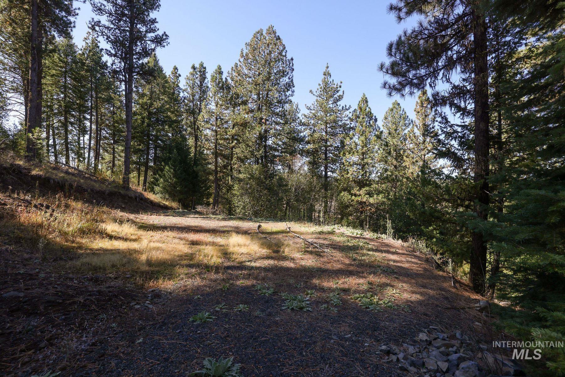 Lot 22 Rim Road Property Photo 35