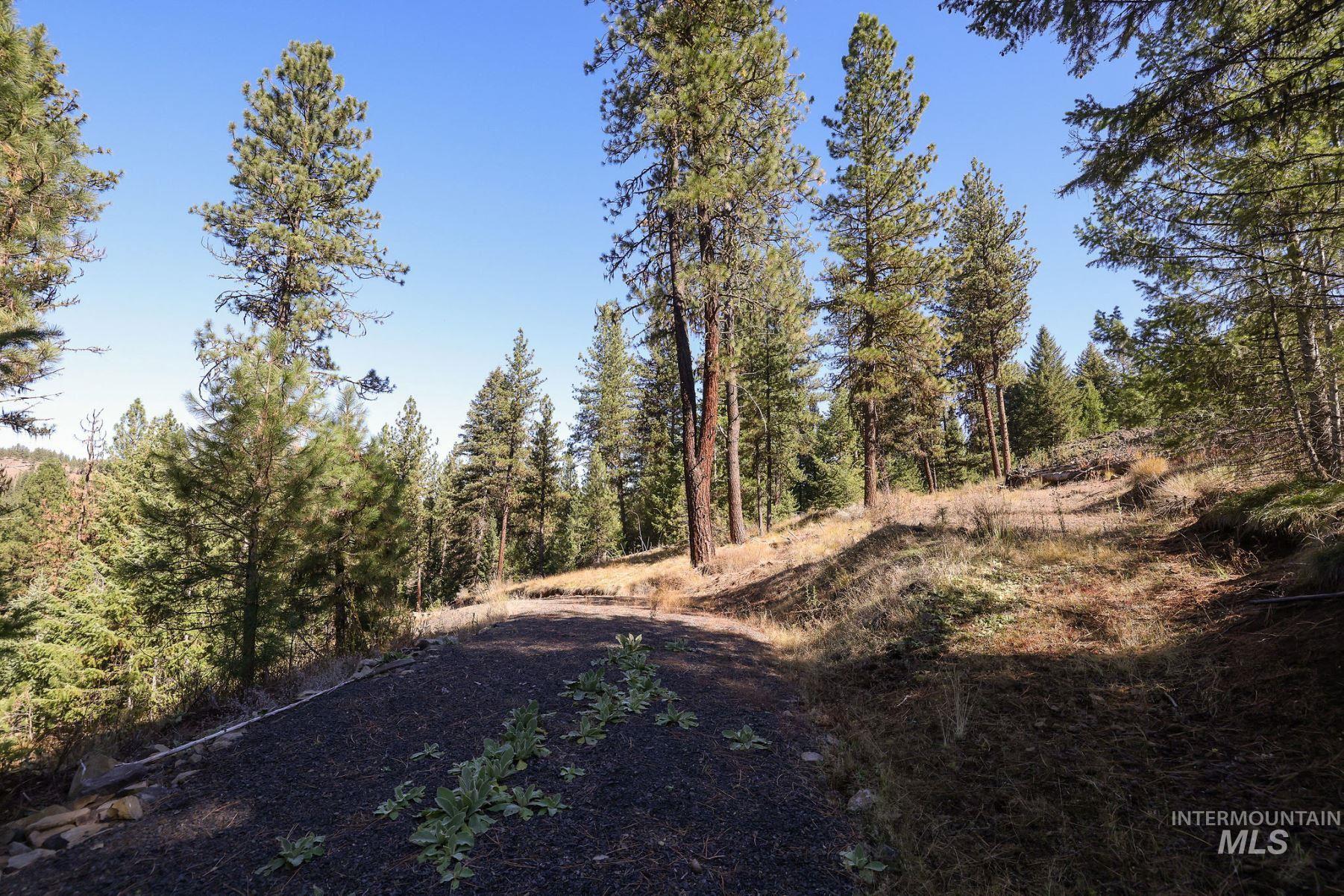 Lot 22 Rim Road Property Photo 37