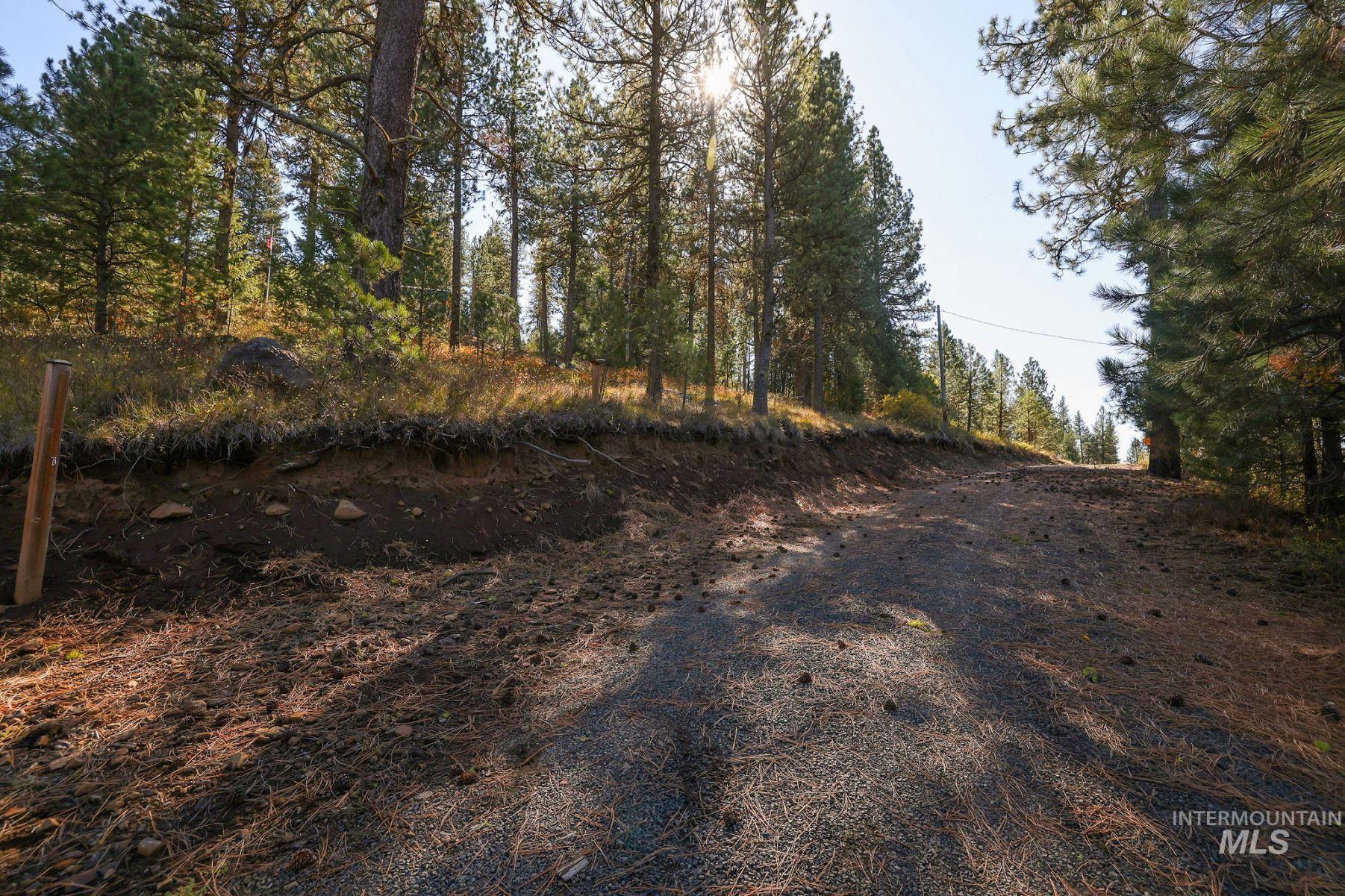 Lot 22 Rim Road Property Photo 45