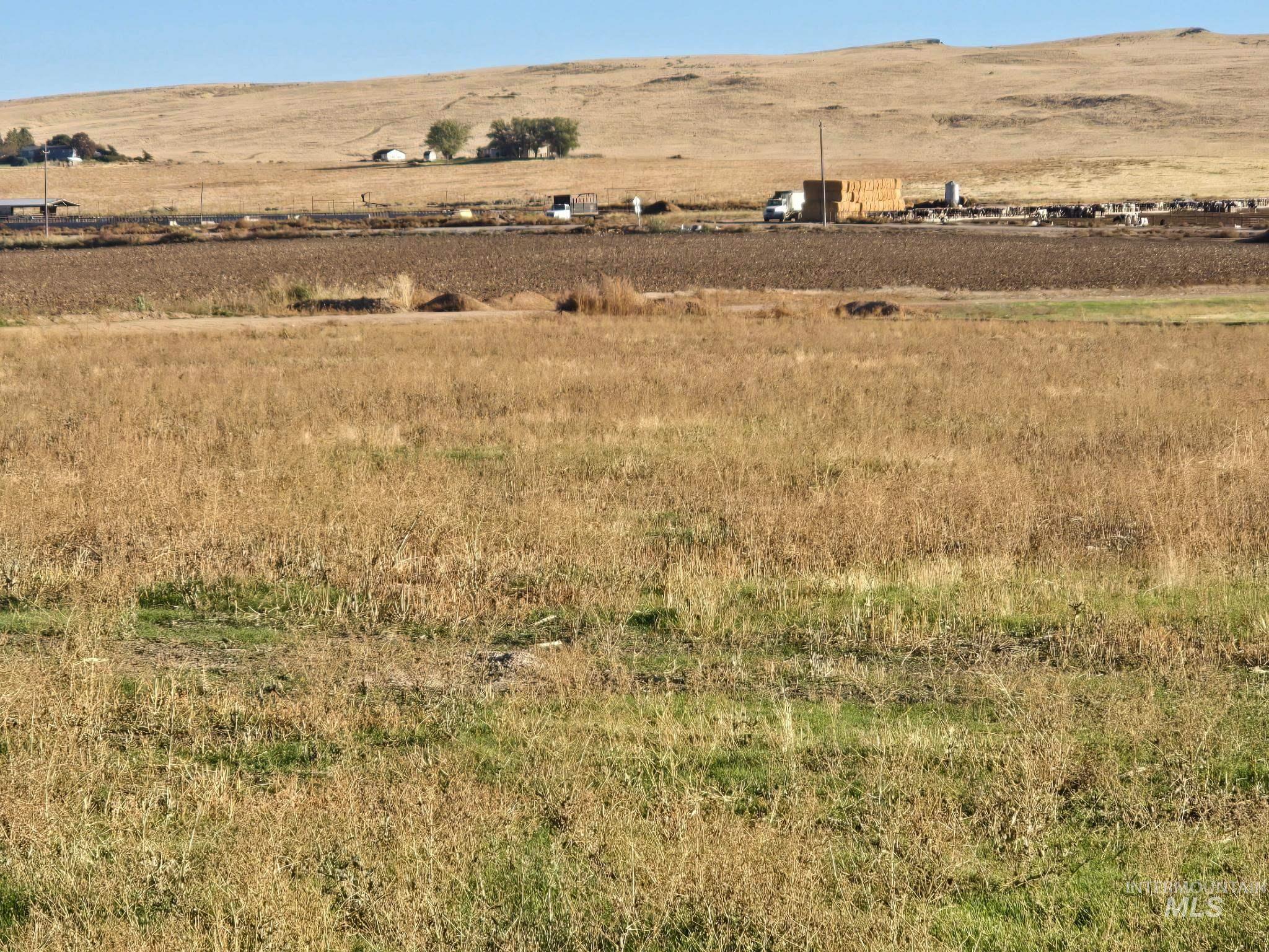 4276 W Mockingjay Property Photo 20