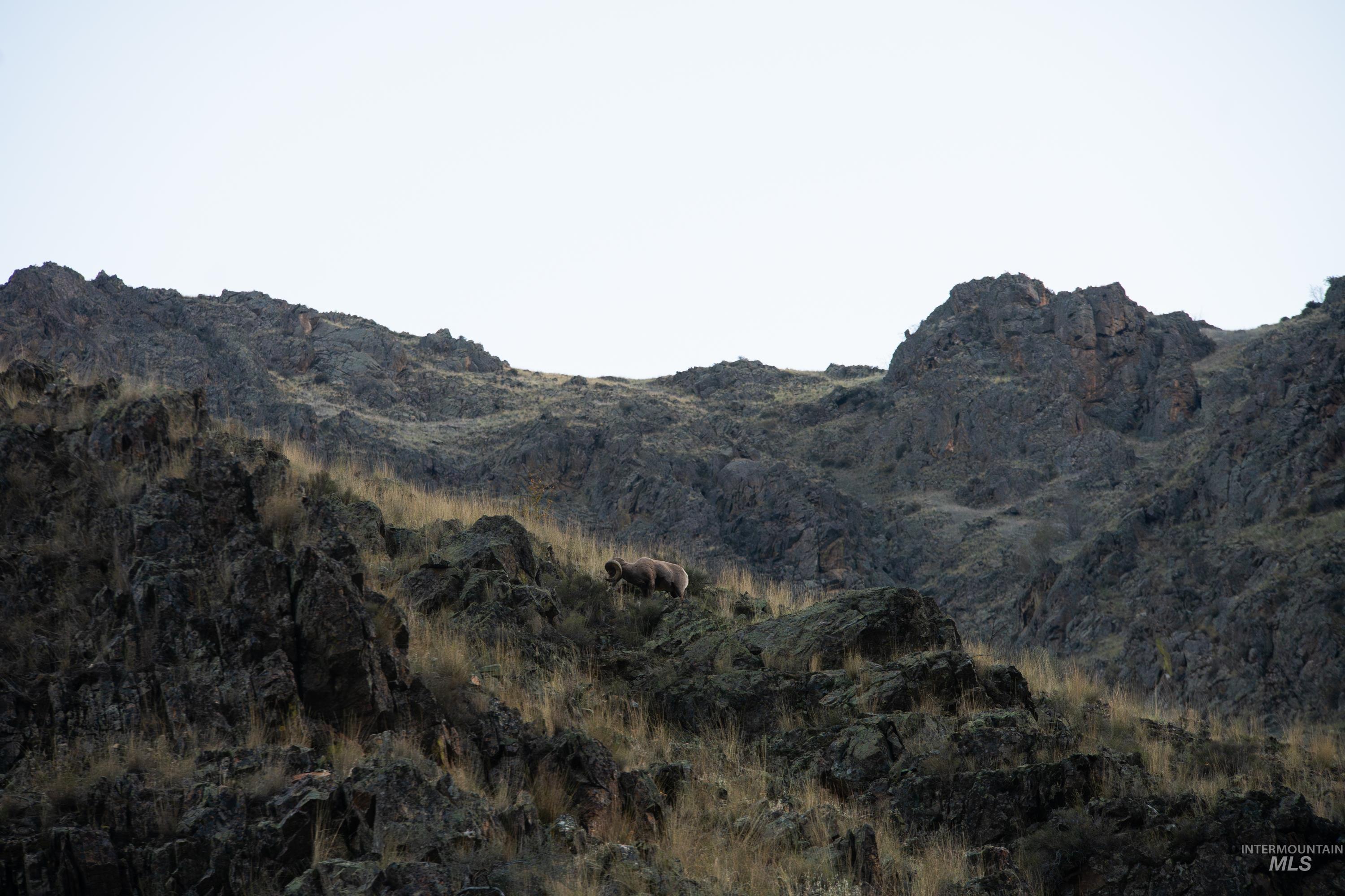 Tbd Tbd Property Photo 14