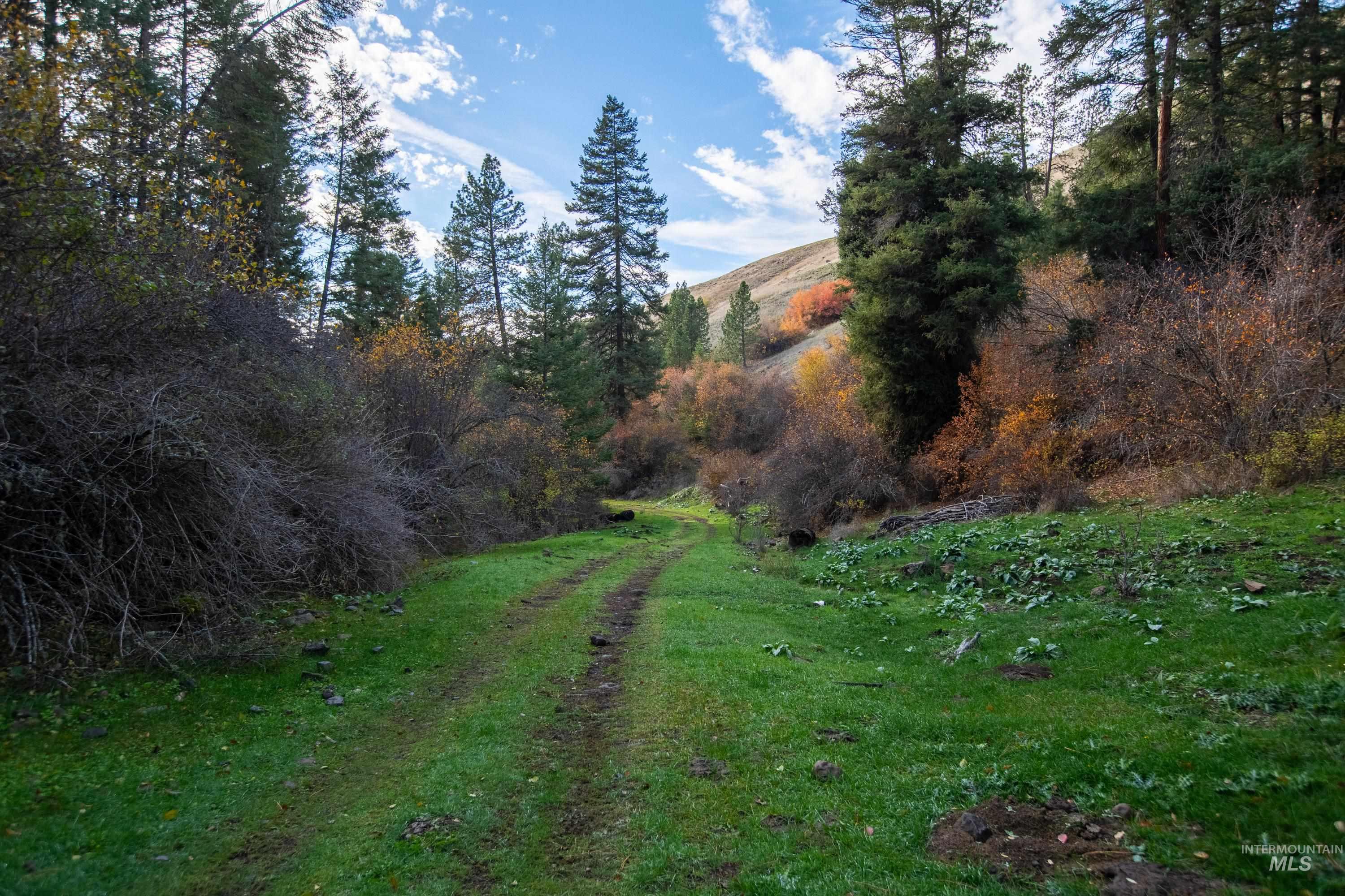Tbd Tbd Property Photo 19