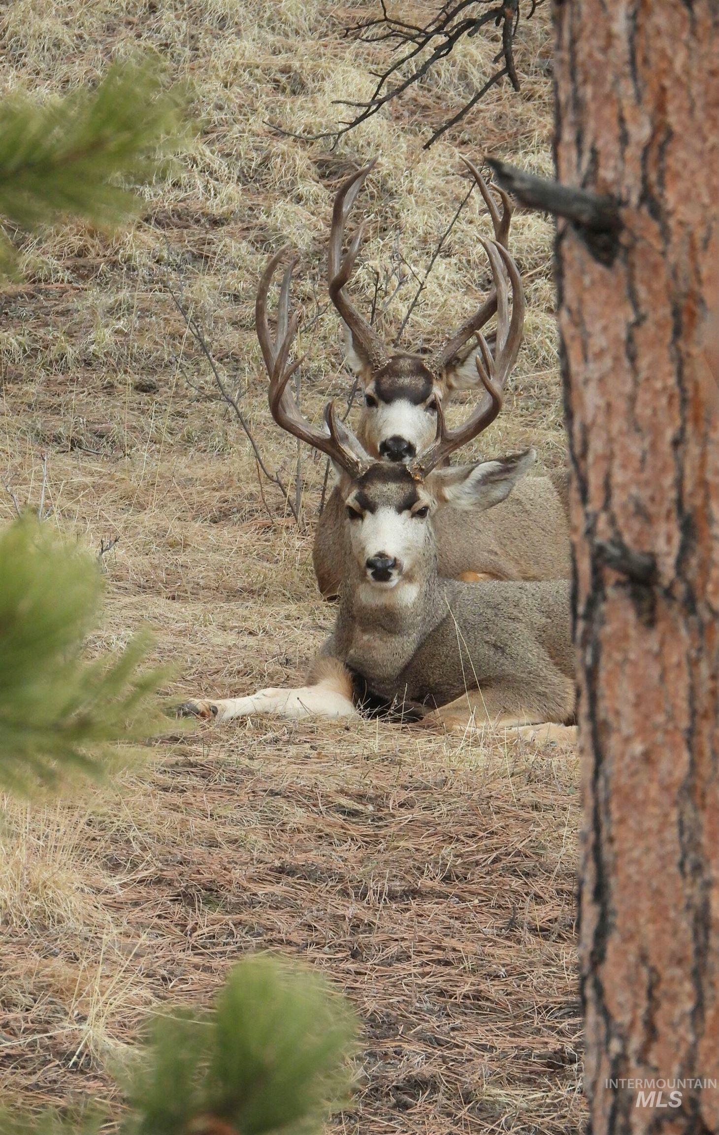Tbd Tbd Property Photo 26