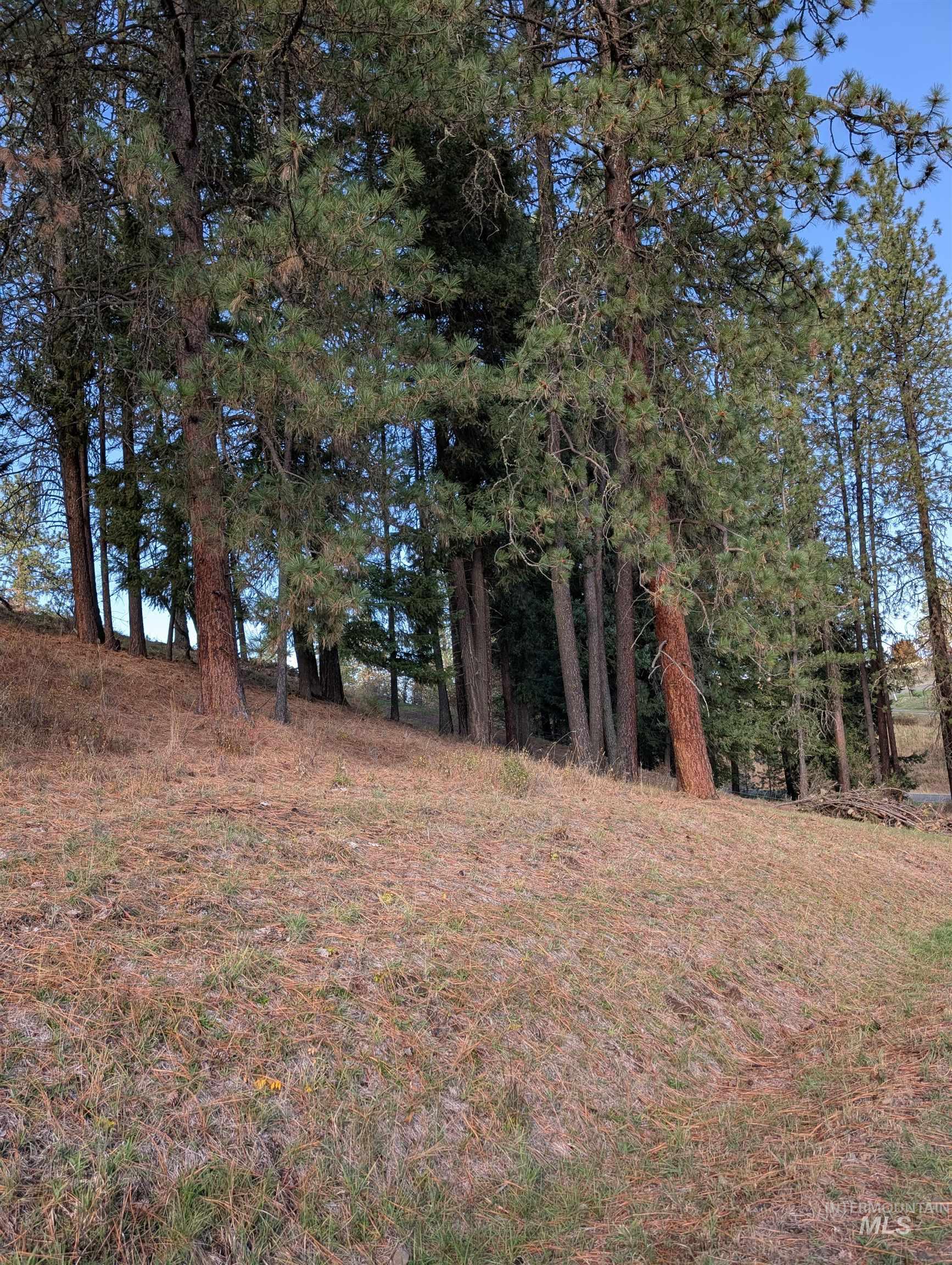 784 Leitch Creek Road Property Photo 2