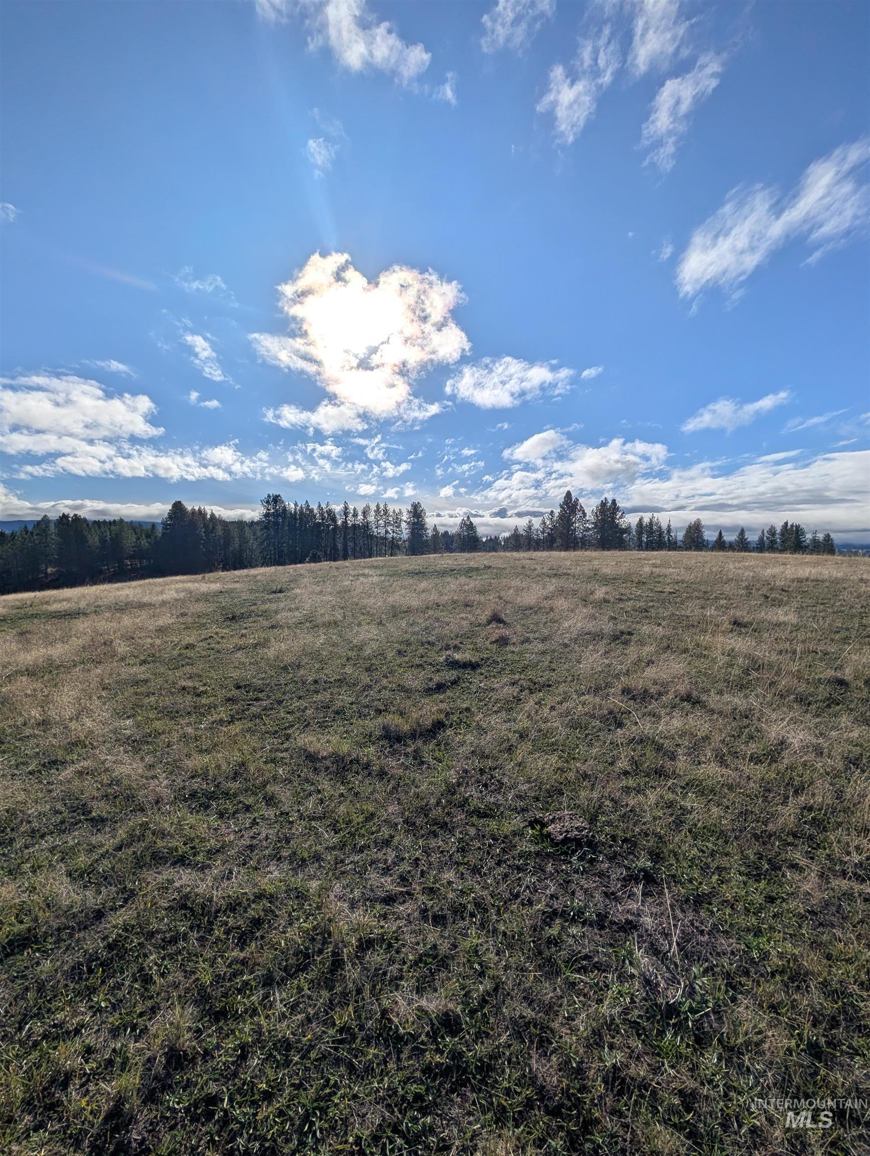 784 Leitch Creek Road Property Photo 19