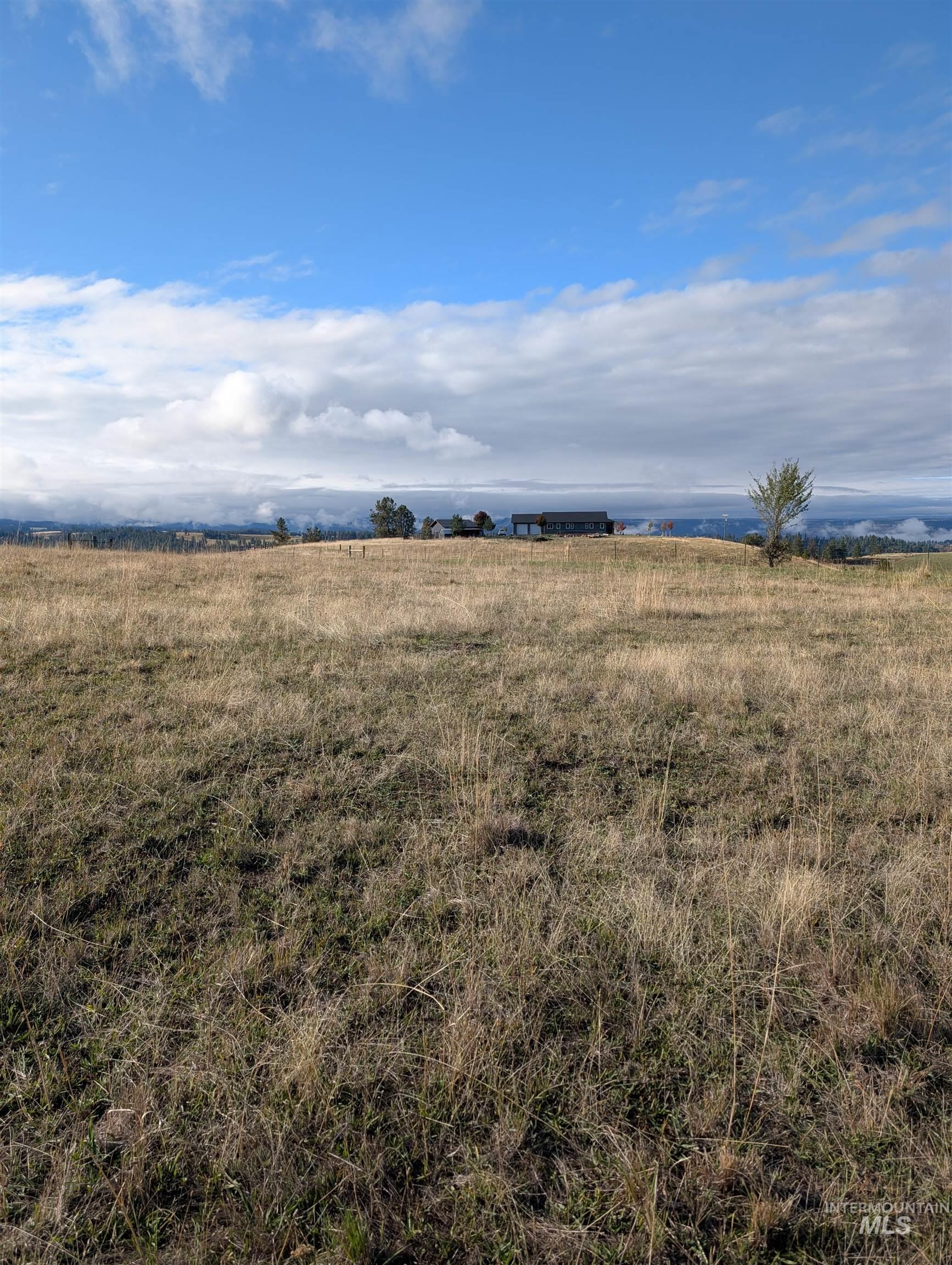 784 Leitch Creek Road Property Photo 23