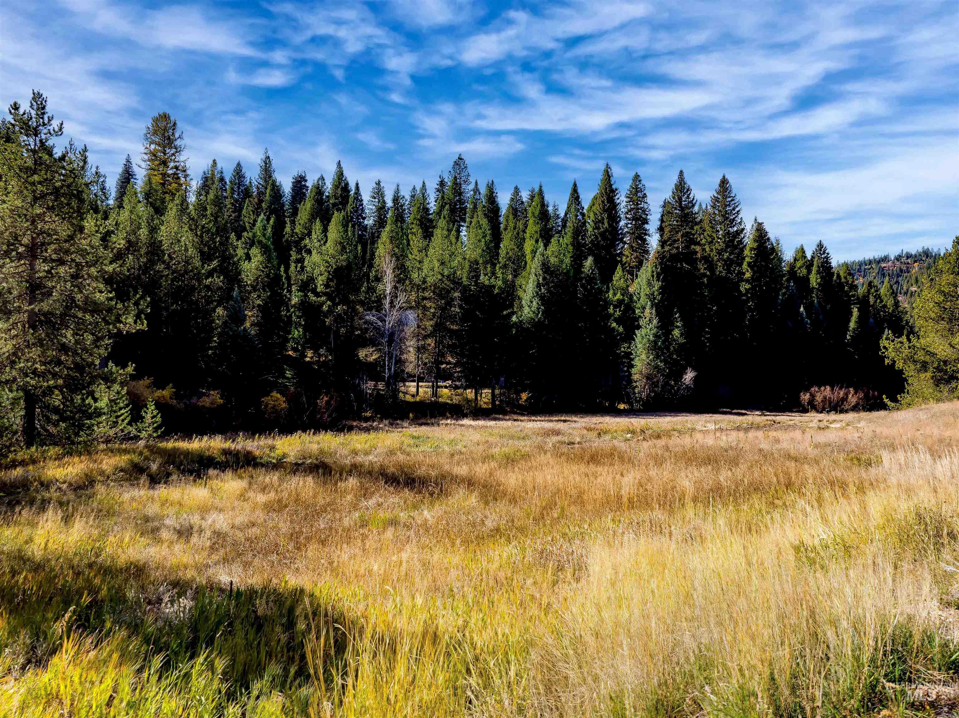 201 Tripod View Property Photo 11