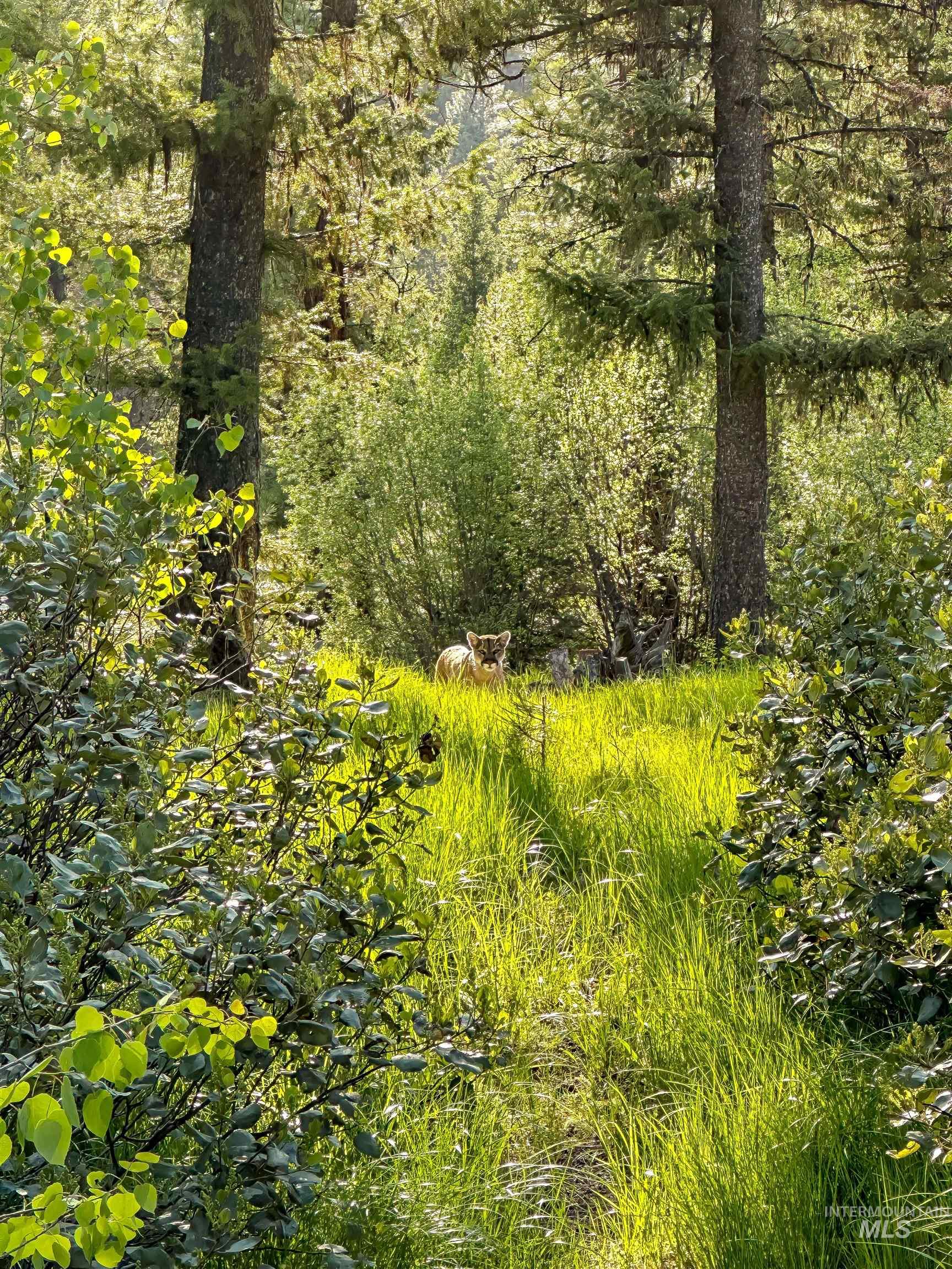 201 Tripod View Property Photo 16