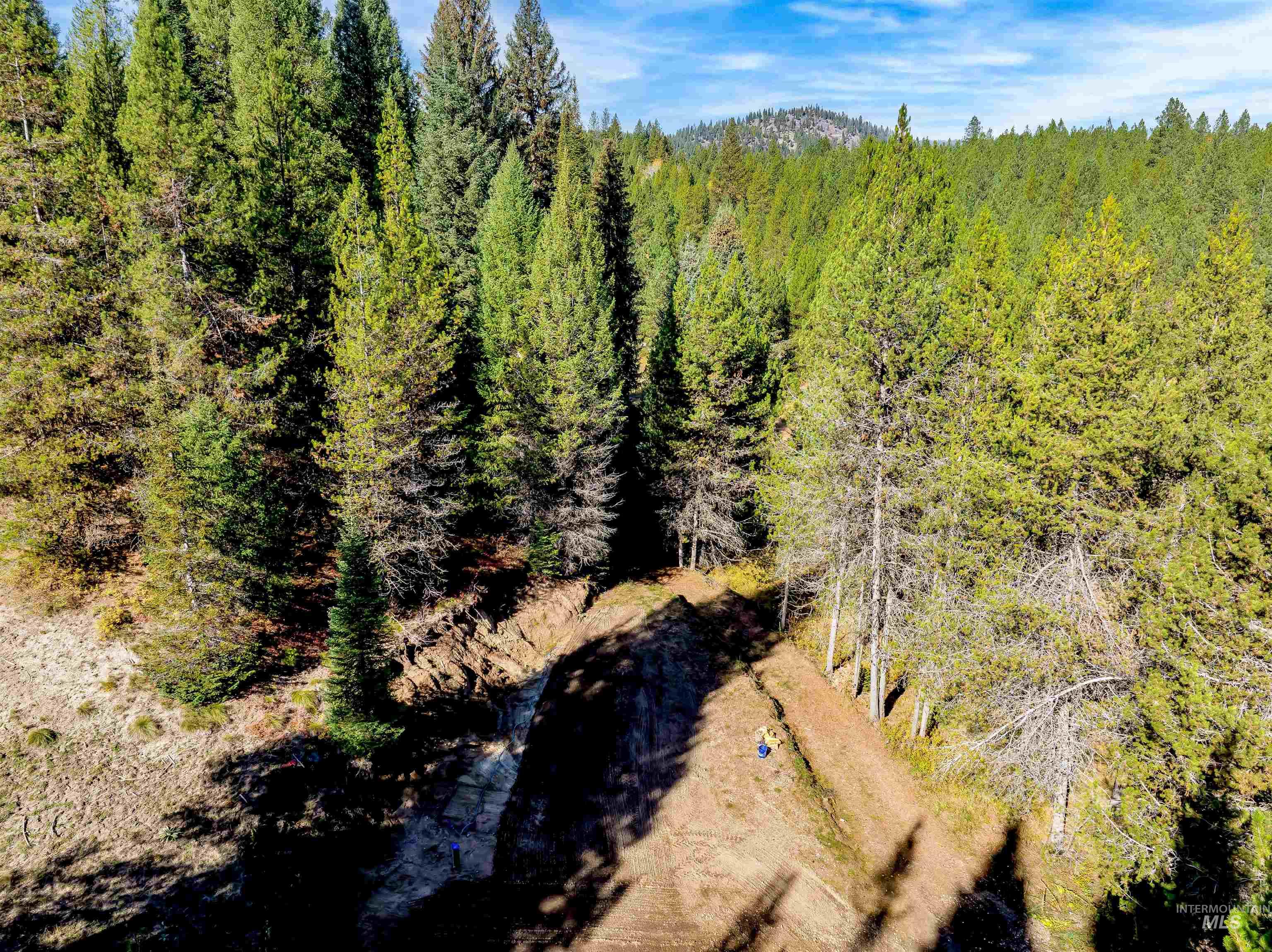 201 Tripod View Property Photo 18