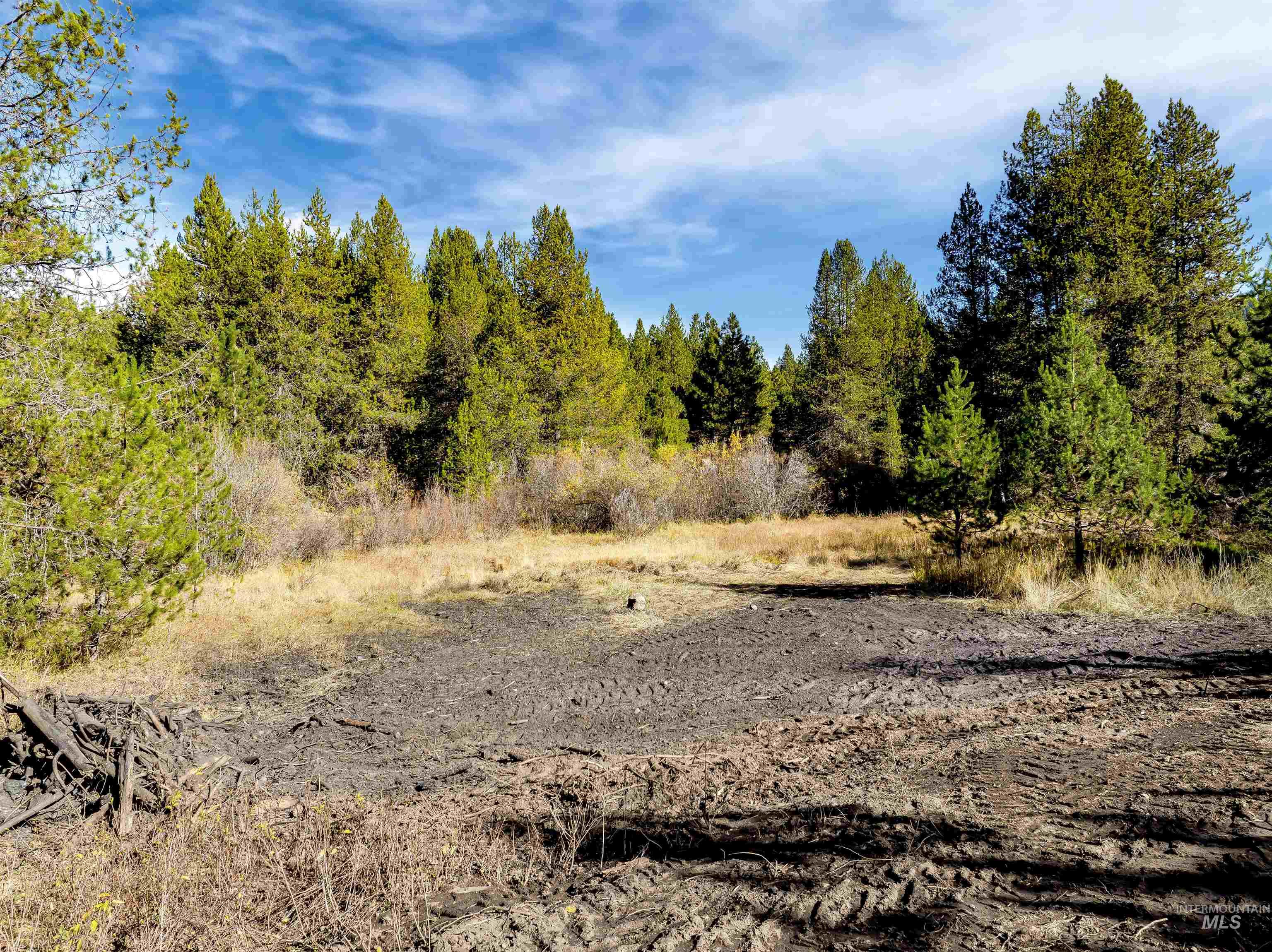 201 Tripod View Property Photo 20