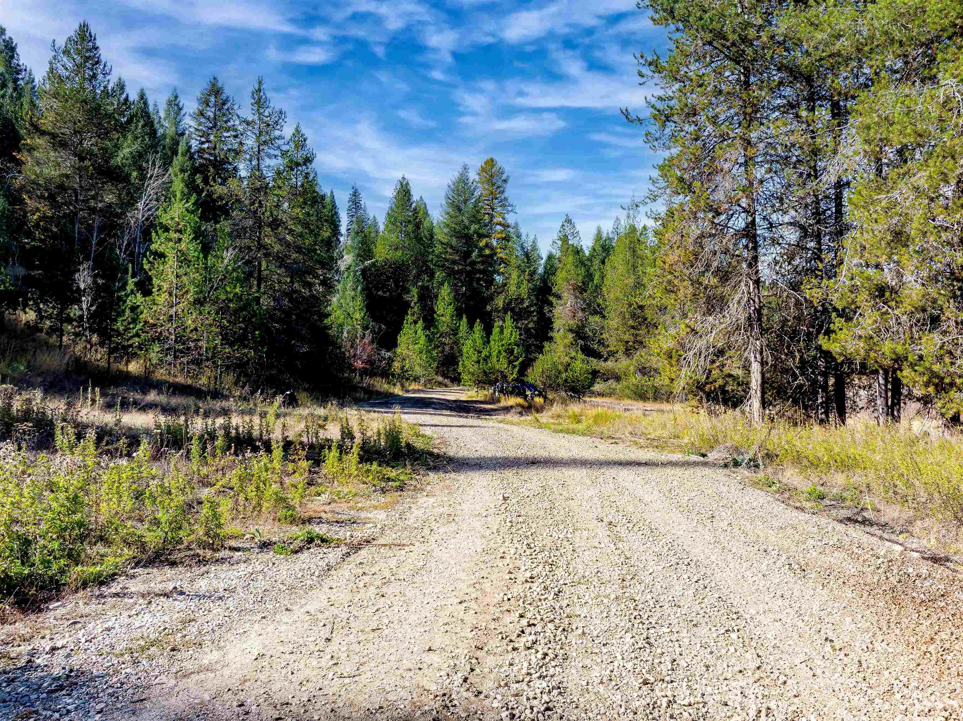 201 Tripod View Property Photo 26