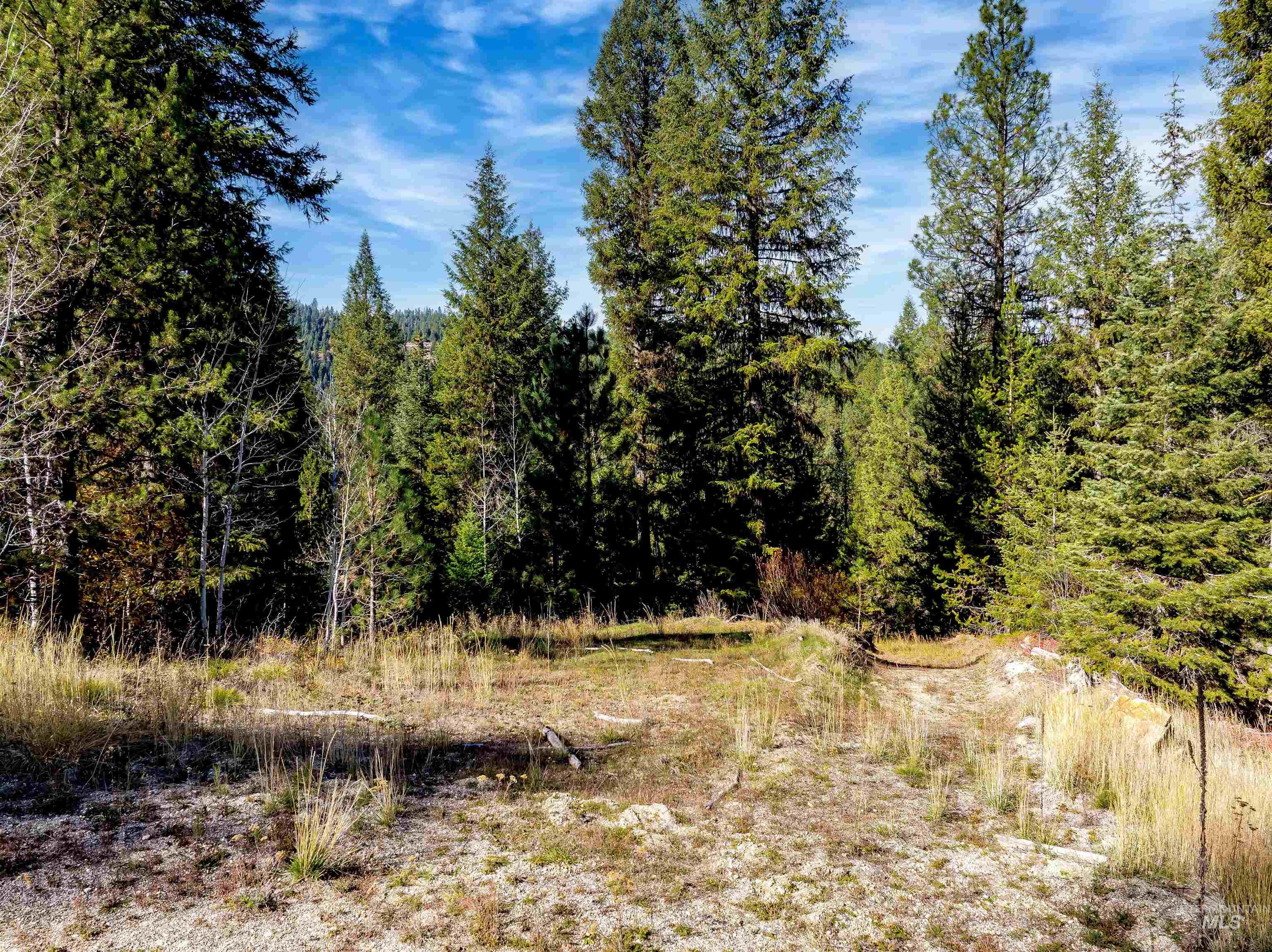 201 Tripod View Property Photo 27