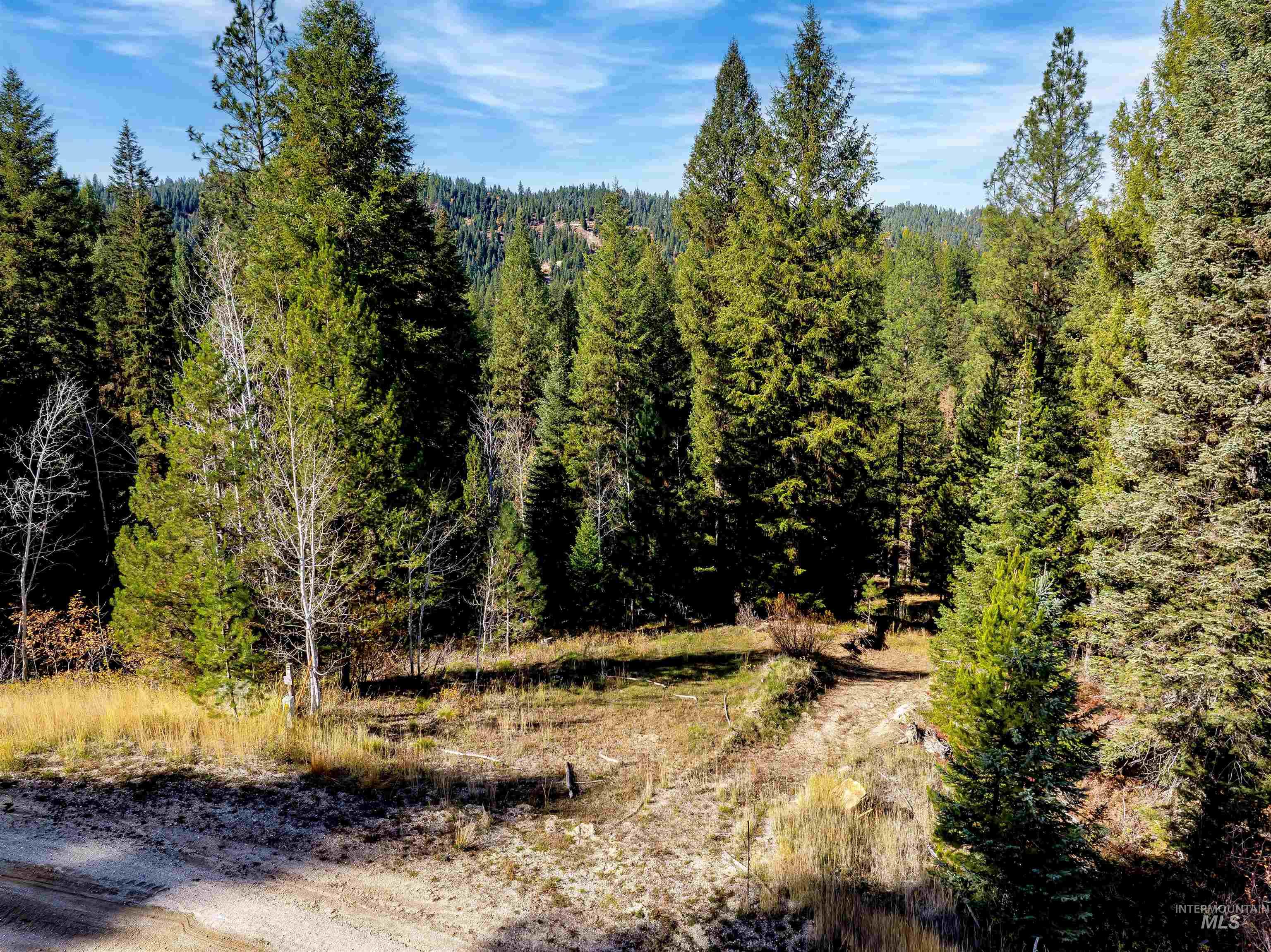 201 Tripod View Property Photo 33