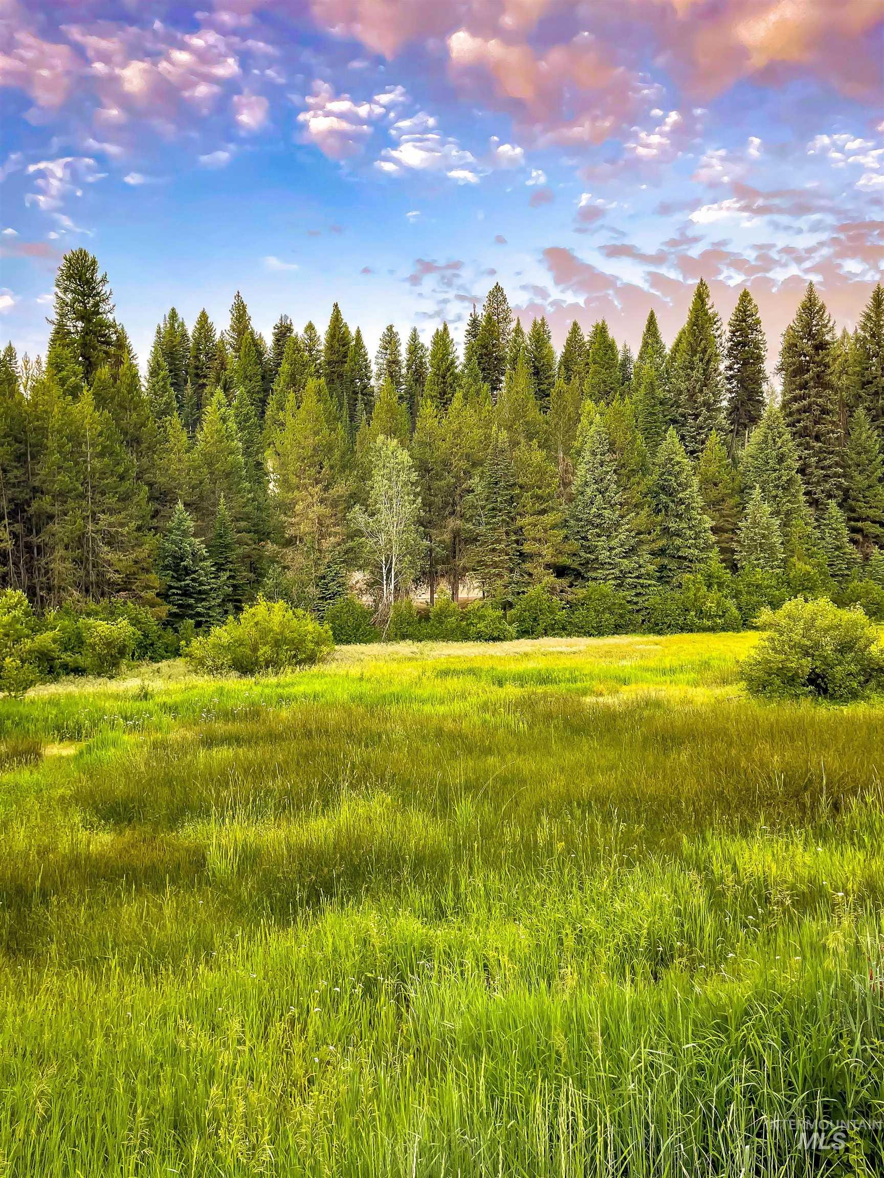 201 Tripod View Property Photo 34