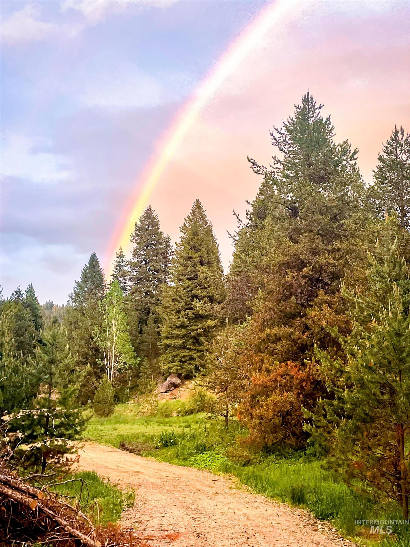 201 Tripod View Property Photo 35