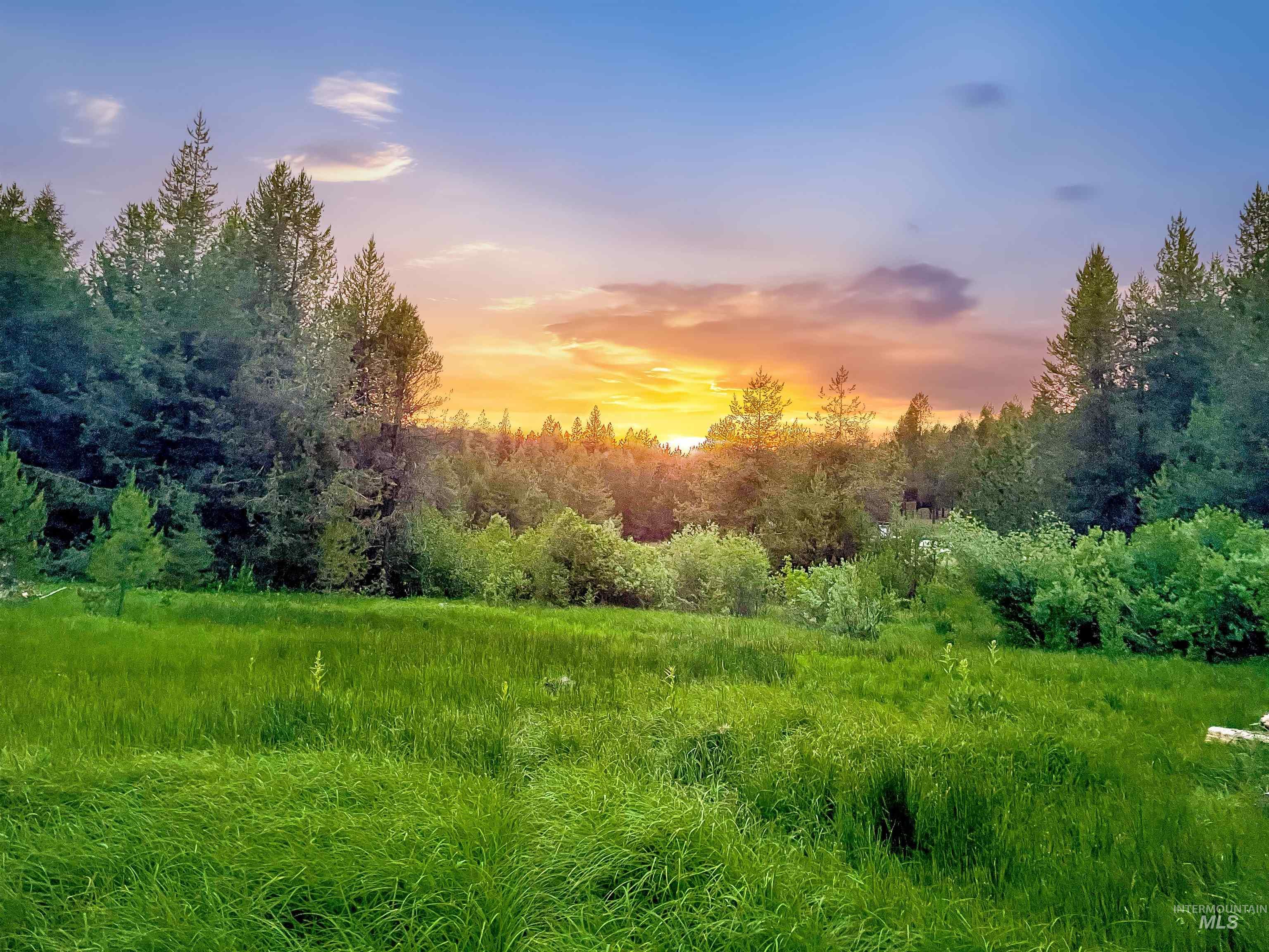 201 Tripod View Property Photo 37