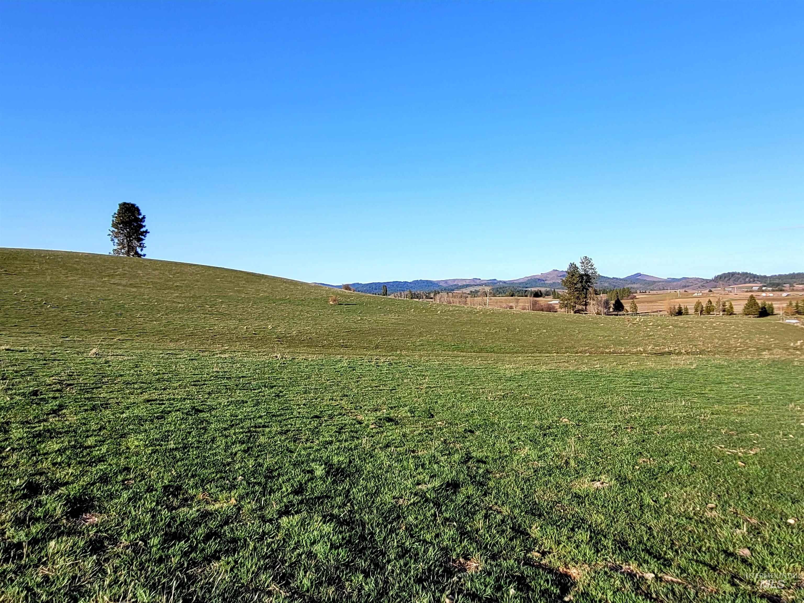 Tbd Zero Point Rd Property Photo 16