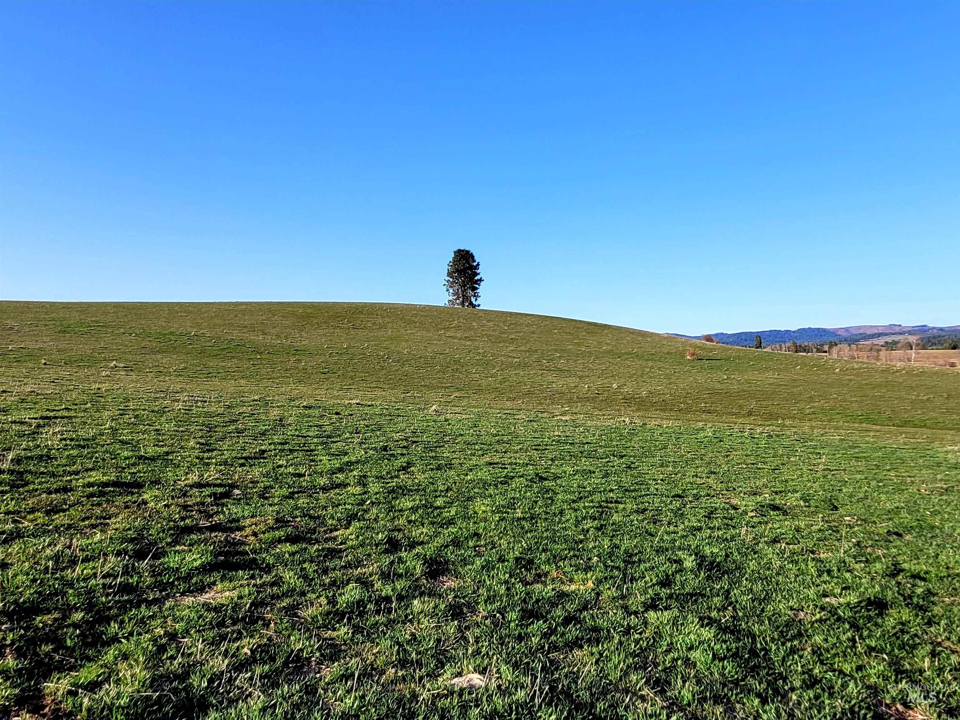 Tbd Zero Point Rd Property Photo 17