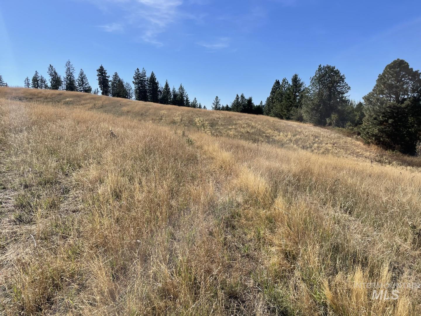 Nka Granlund Property Photo 7