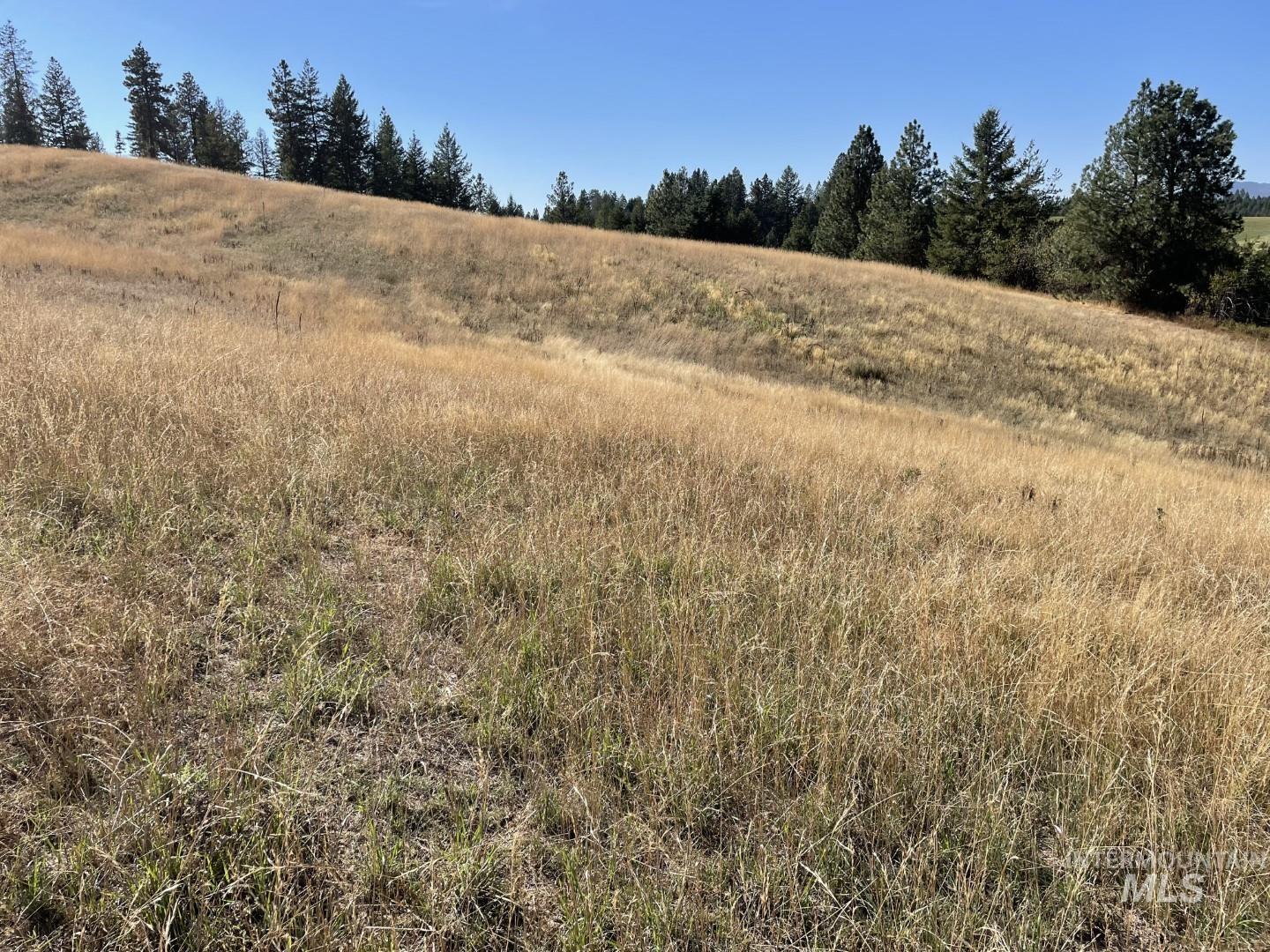 Nka Granlund Property Photo 8