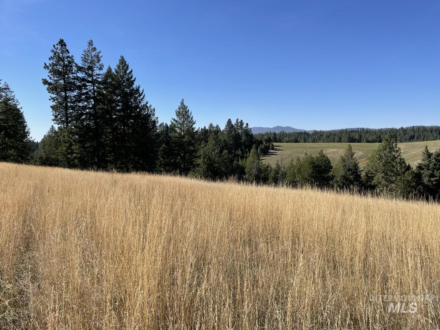 Nka Granlund Property Photo 13