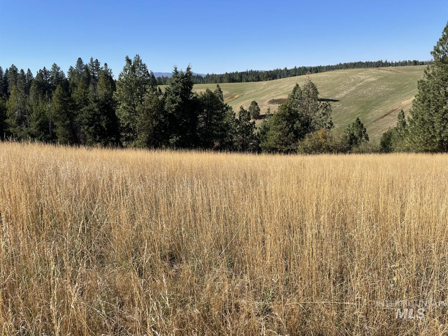 Nka Granlund Property Photo 15