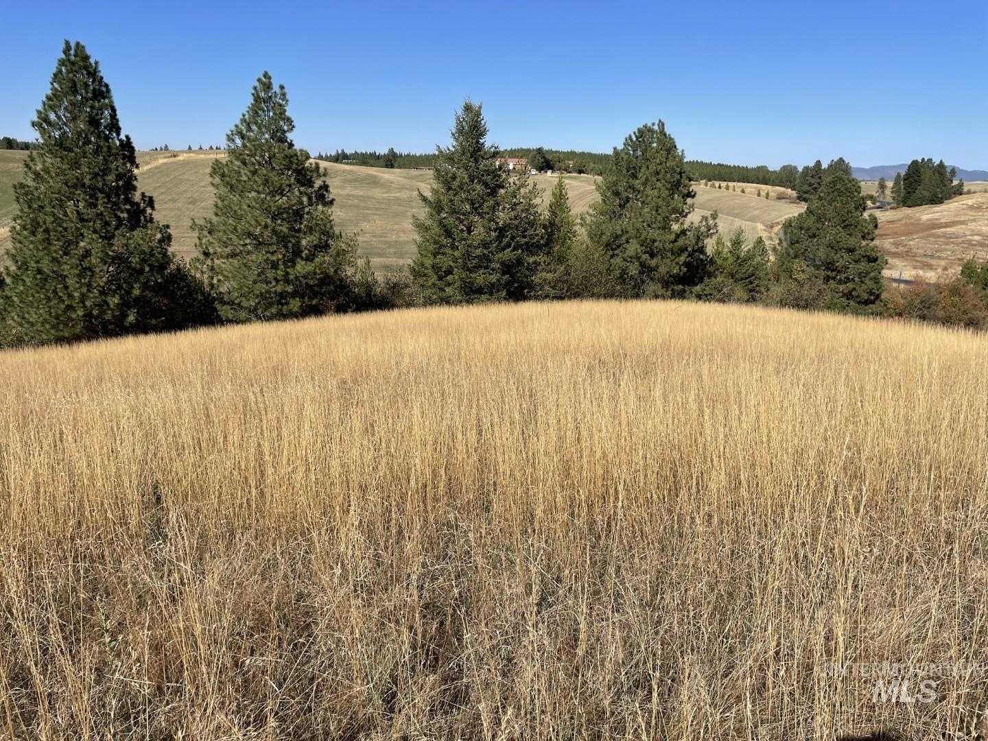 Nka Granlund Property Photo 16