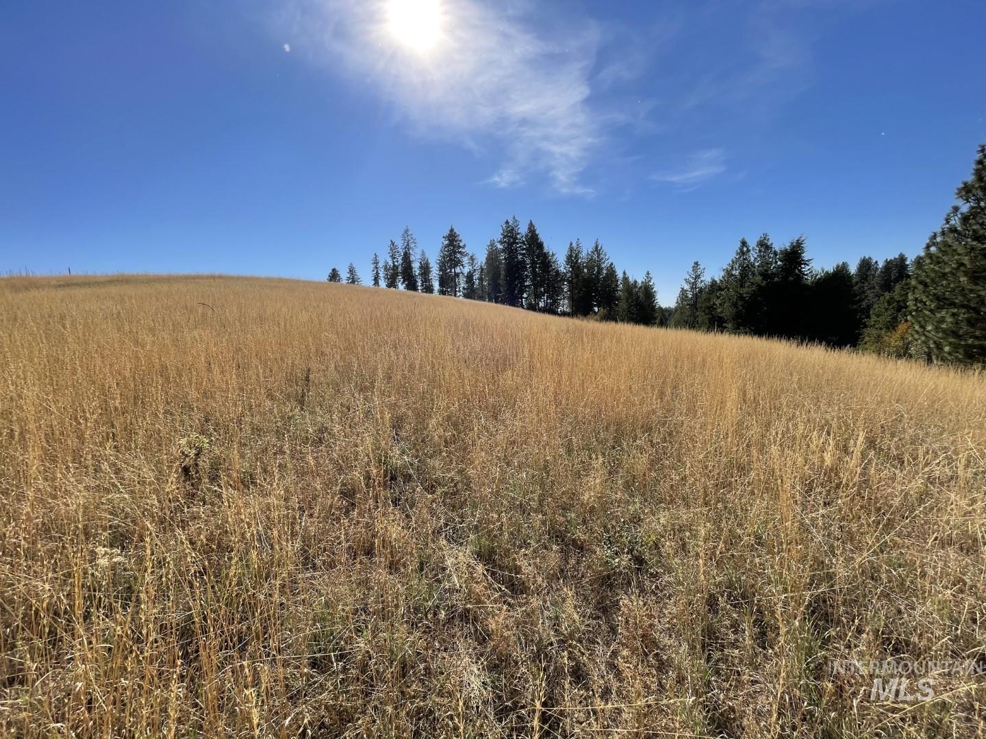 Nka Granlund Property Photo 18