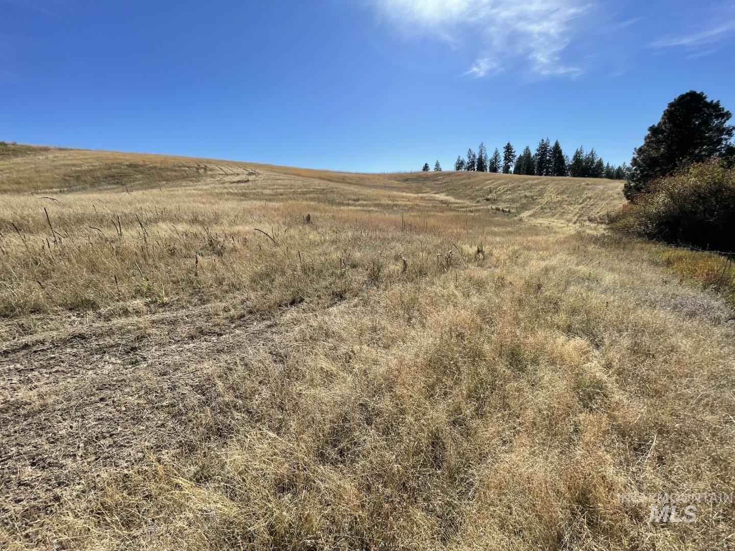 Nka Granlund Property Photo 21